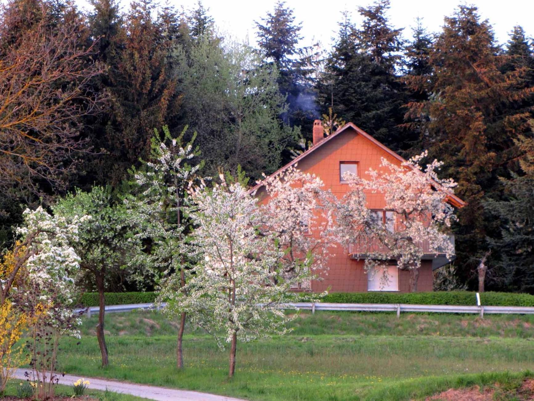 Haus Hollerbusch
