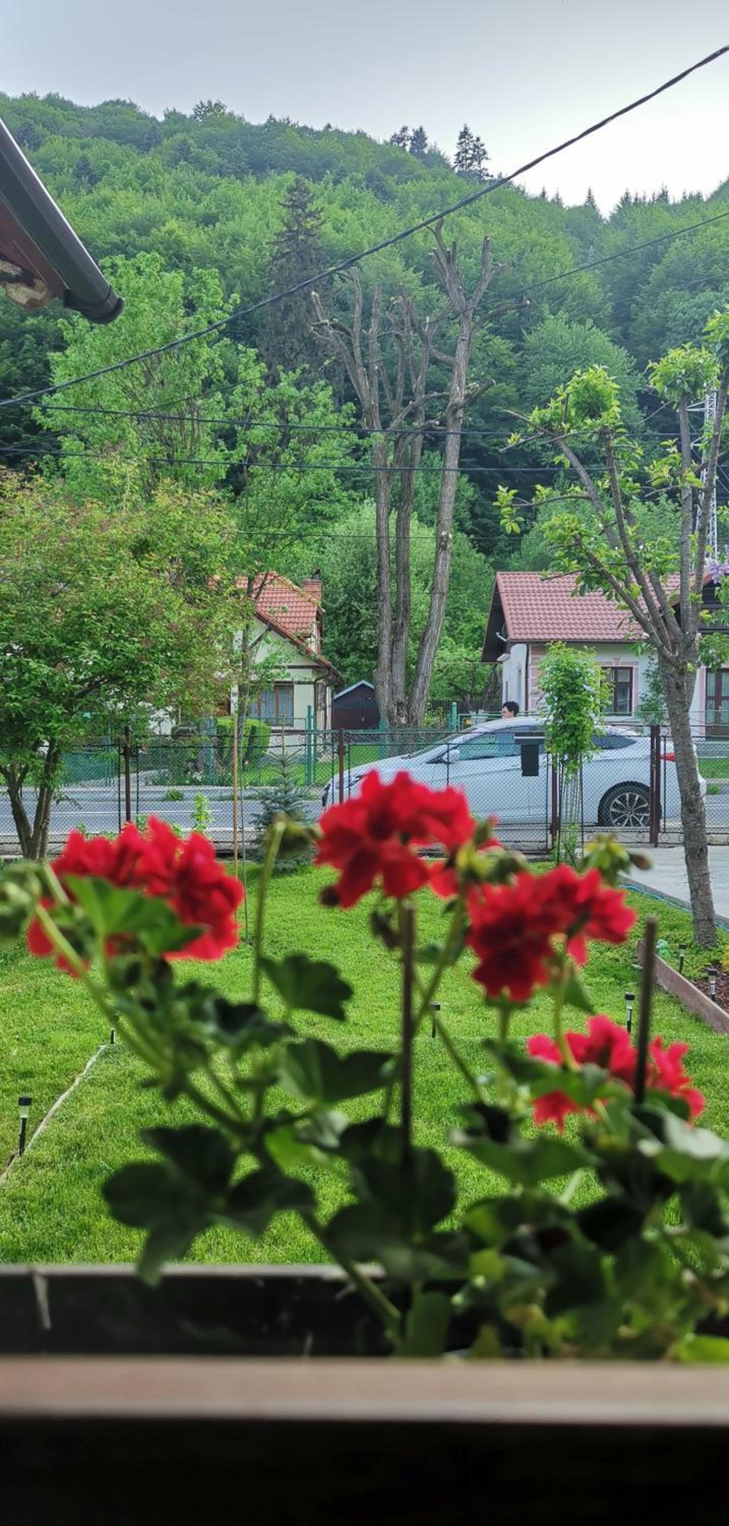 Casa Bunicilor Sinaia view 4