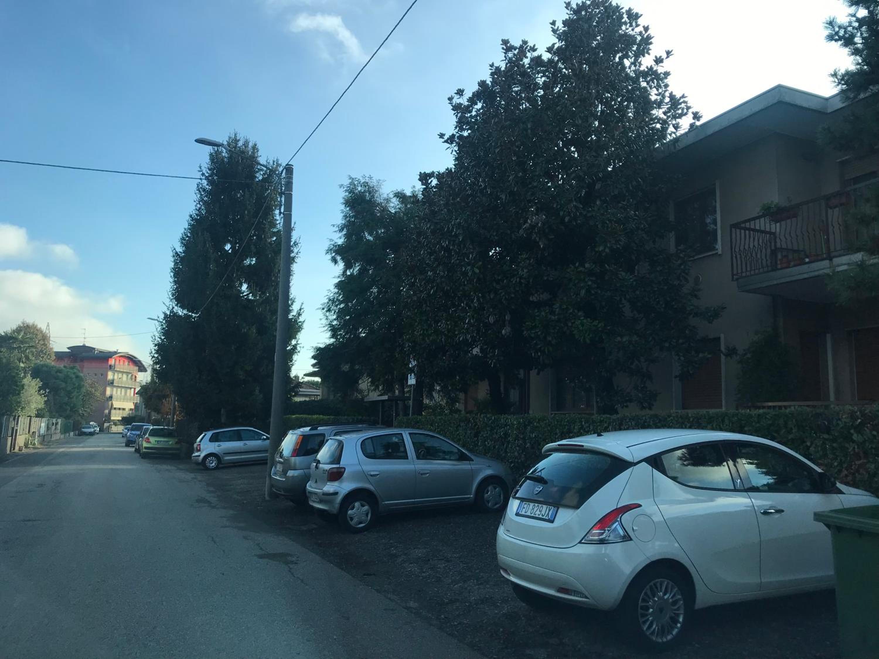 Photo 31