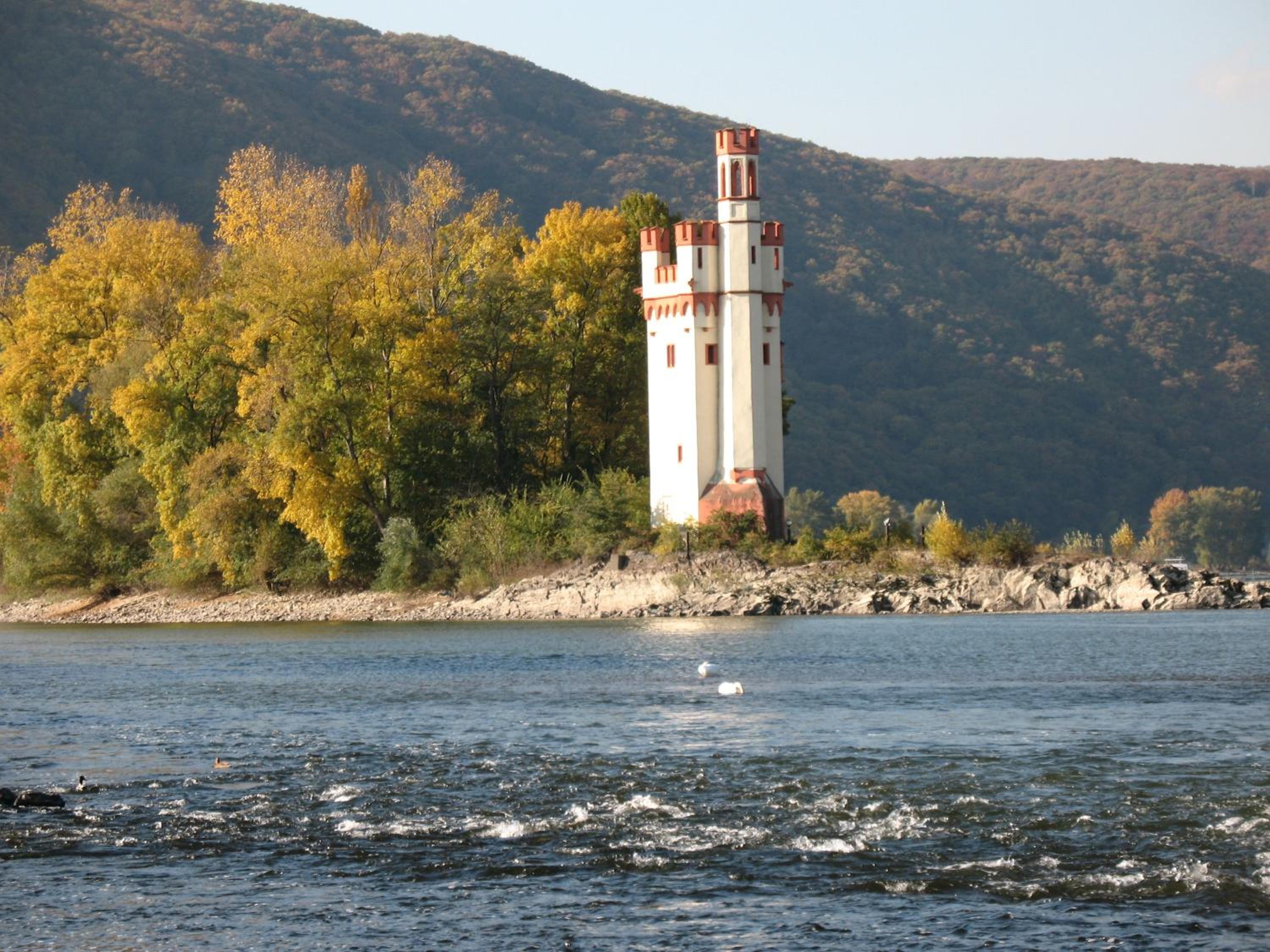 Helle FEWO, 60 qm, Souterrain, eigener Eingang, Rhein und Nahe