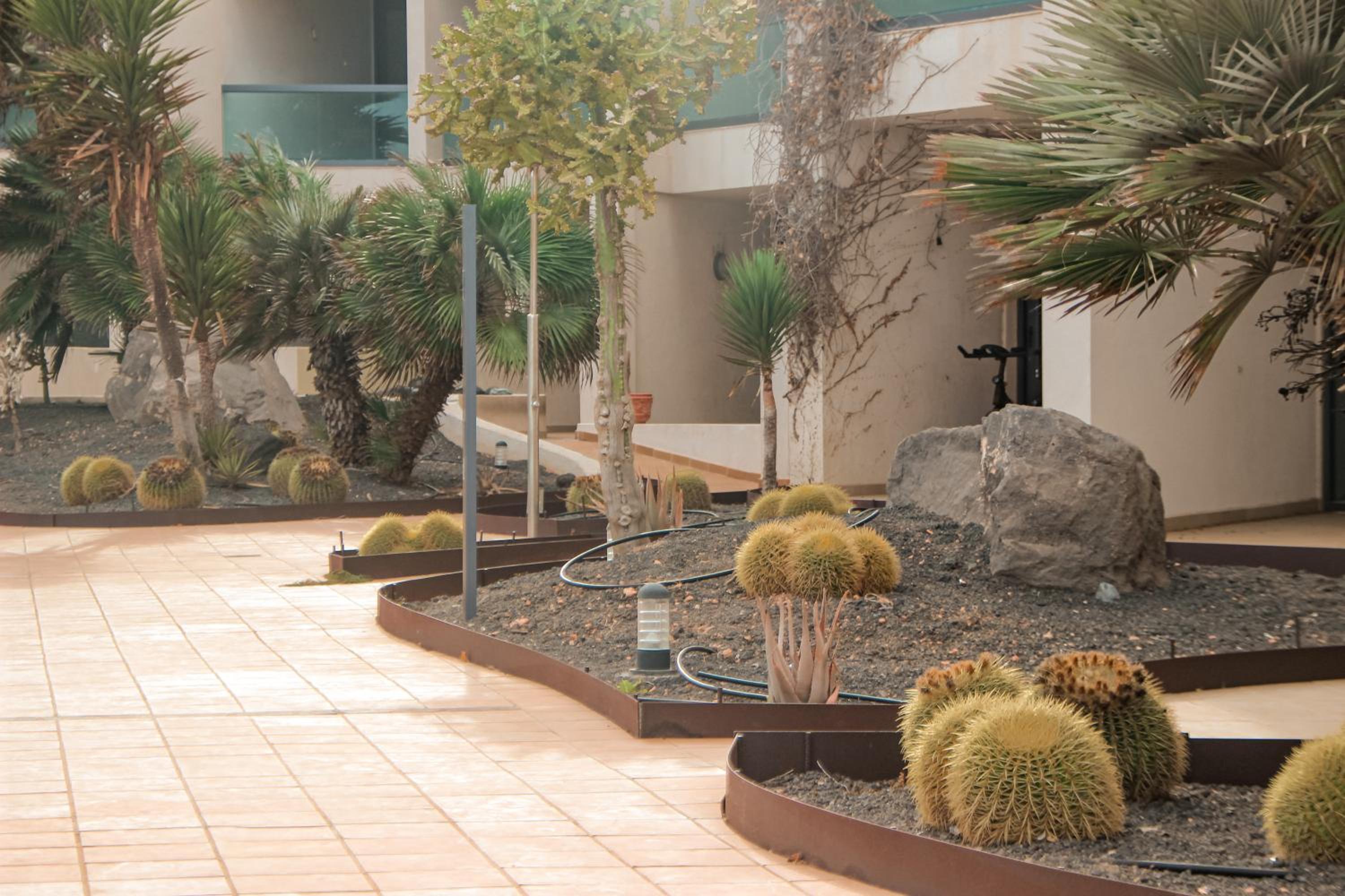 Casa Aloe Vera