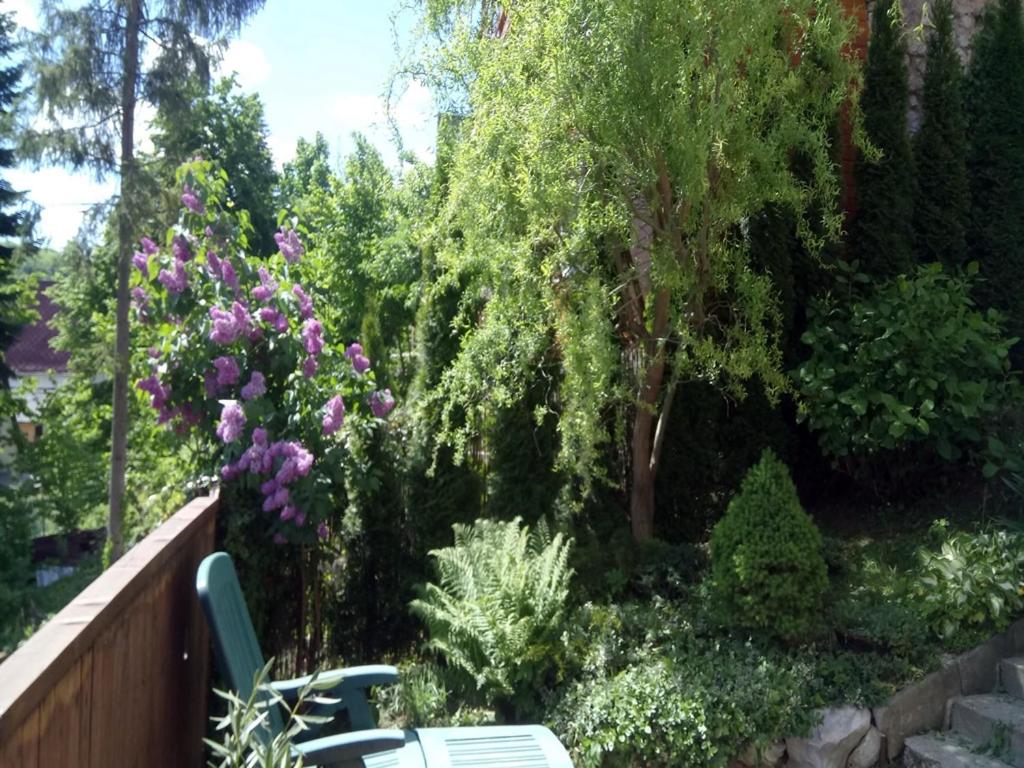Photo 18