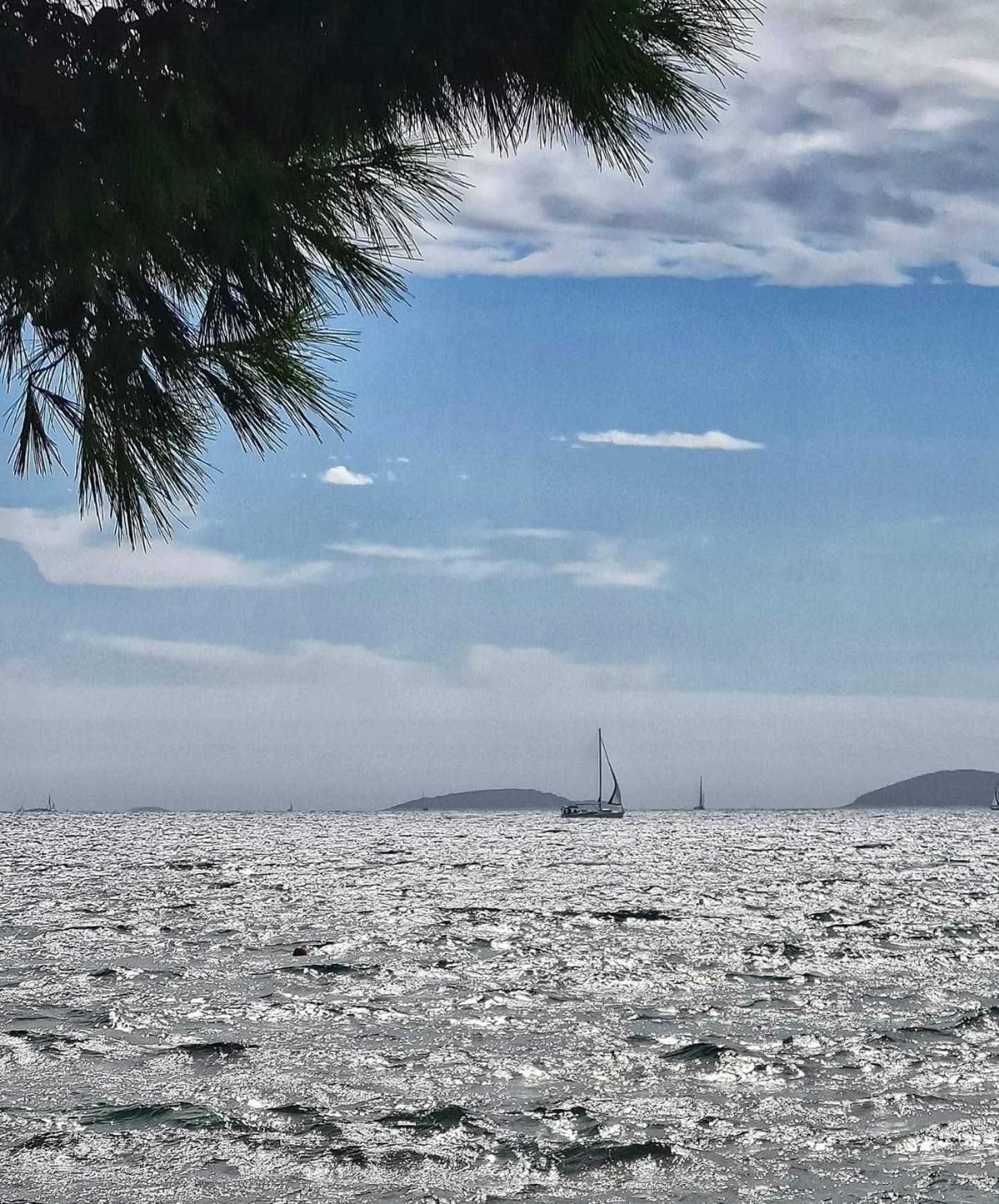 Mladen Vodice