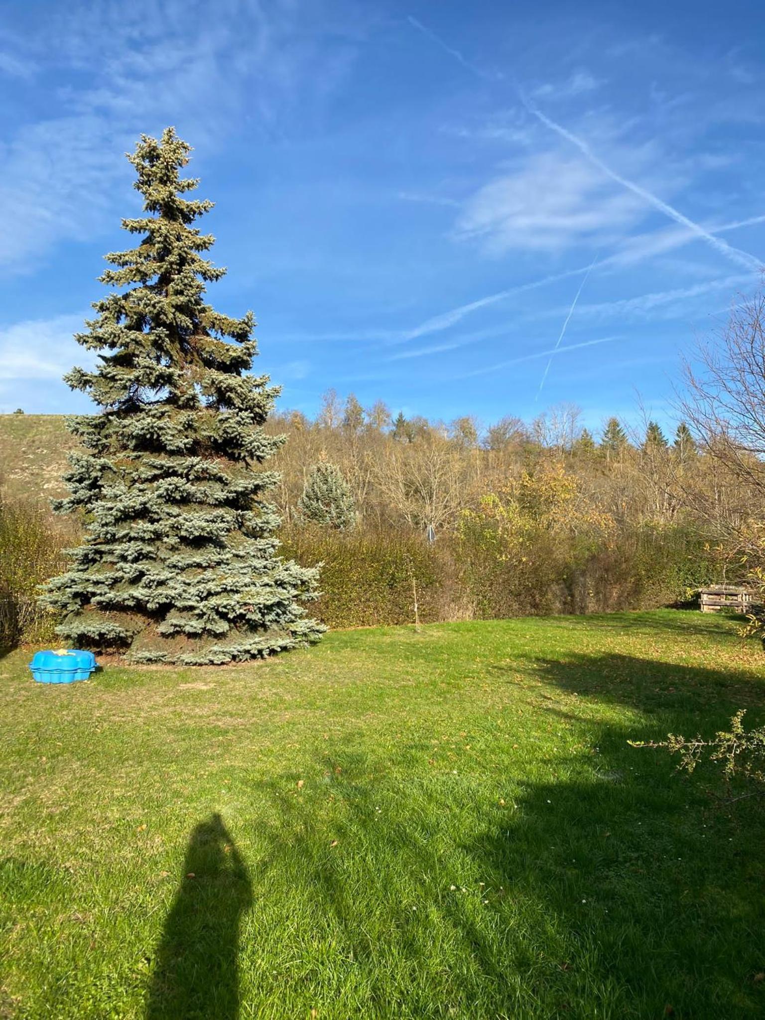Ferienhaus Naturblick