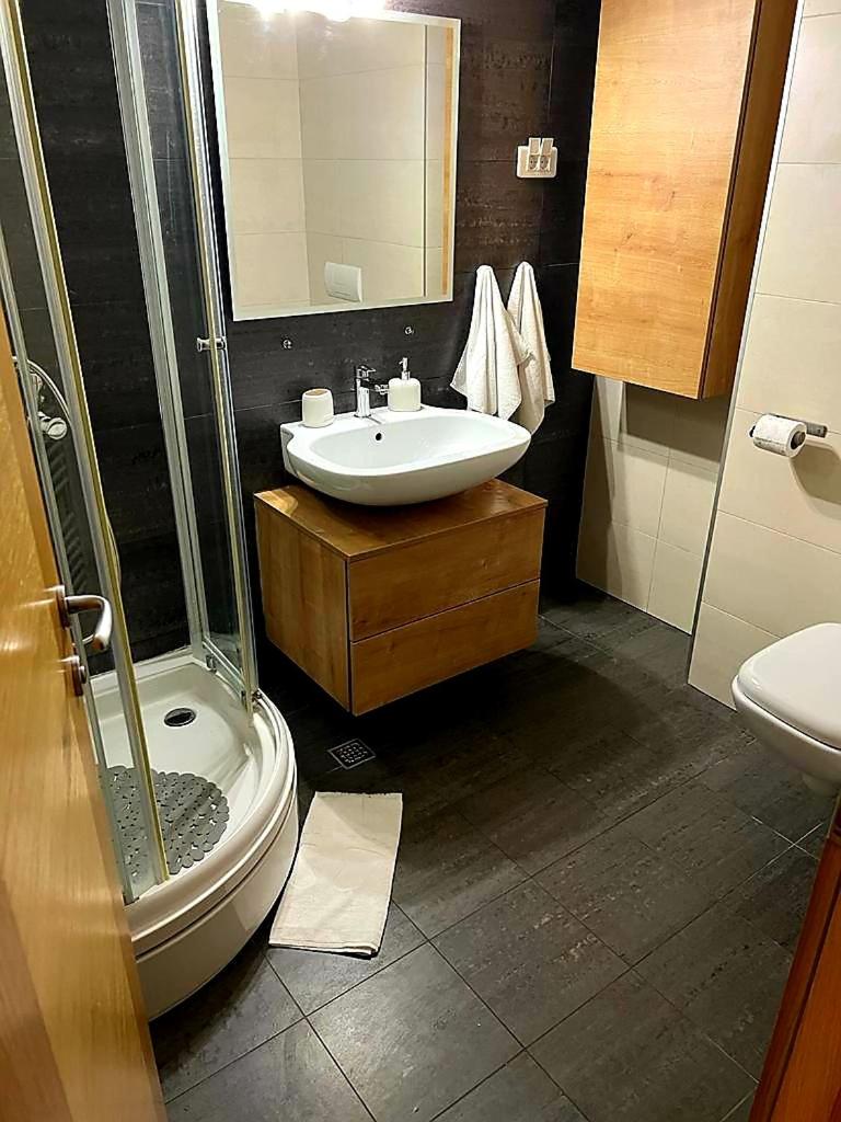 Apartment U245 in aparthotel Vucko - private host
