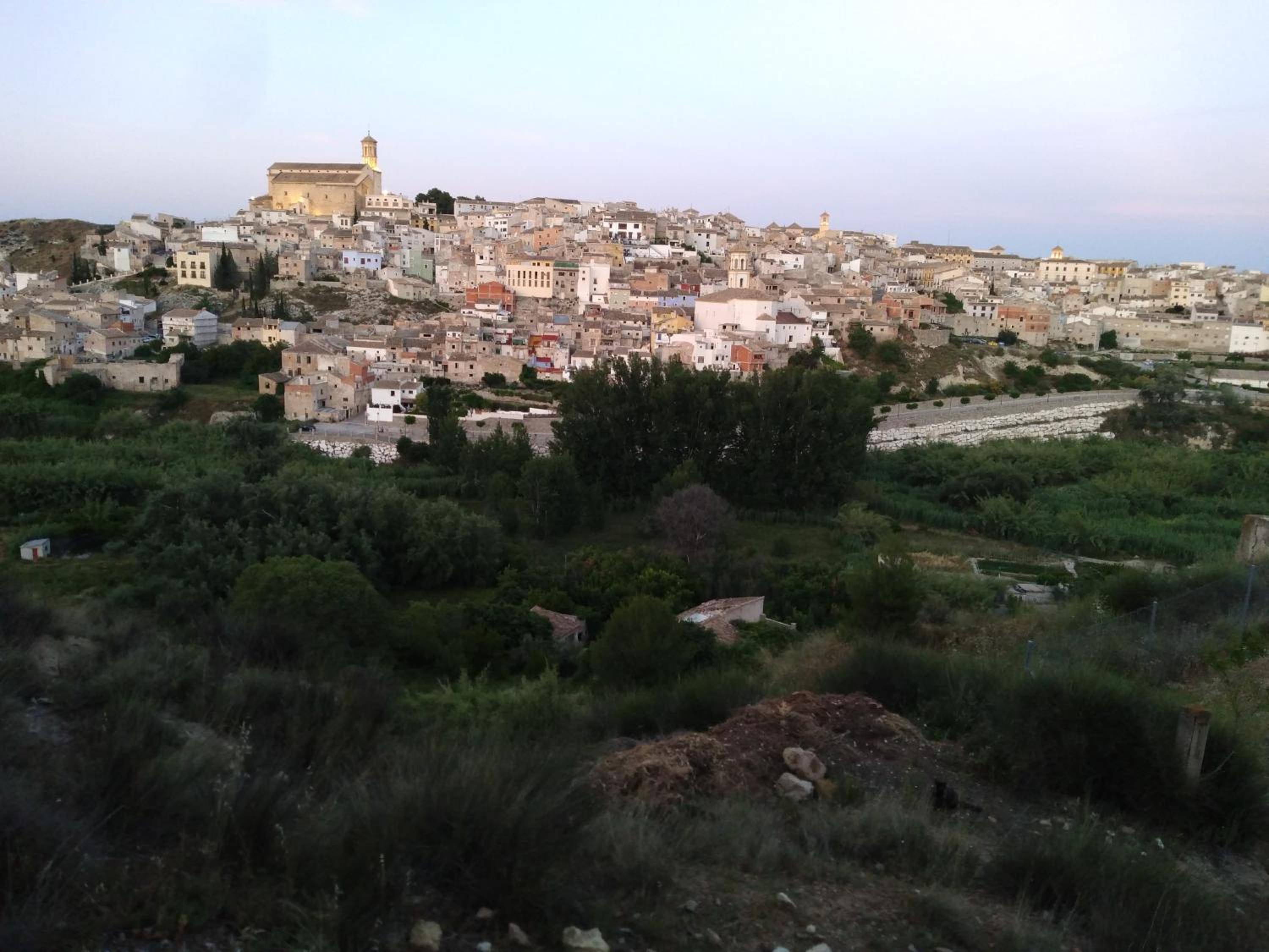 Photo 35