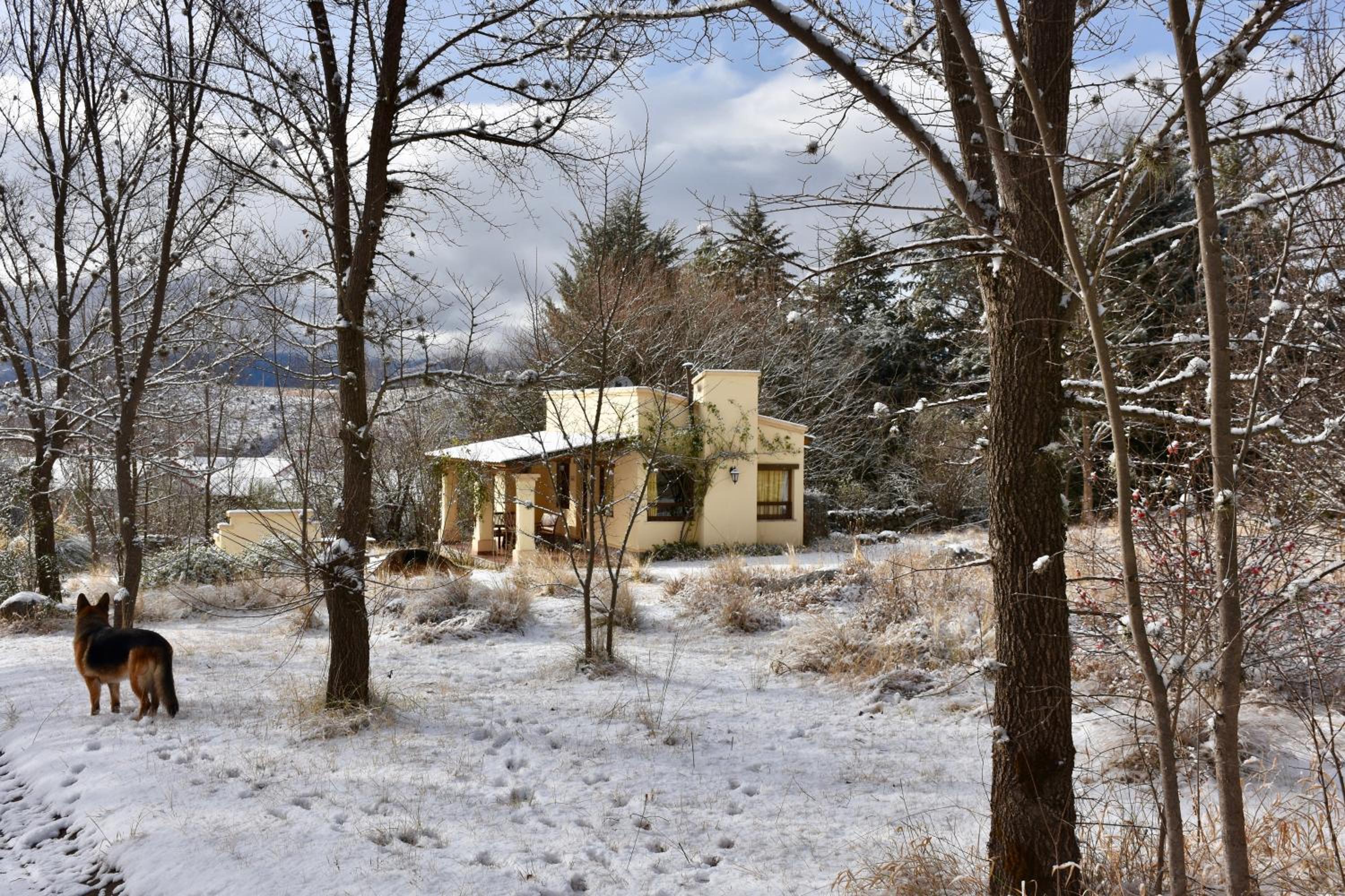 Cabañas Río Molle