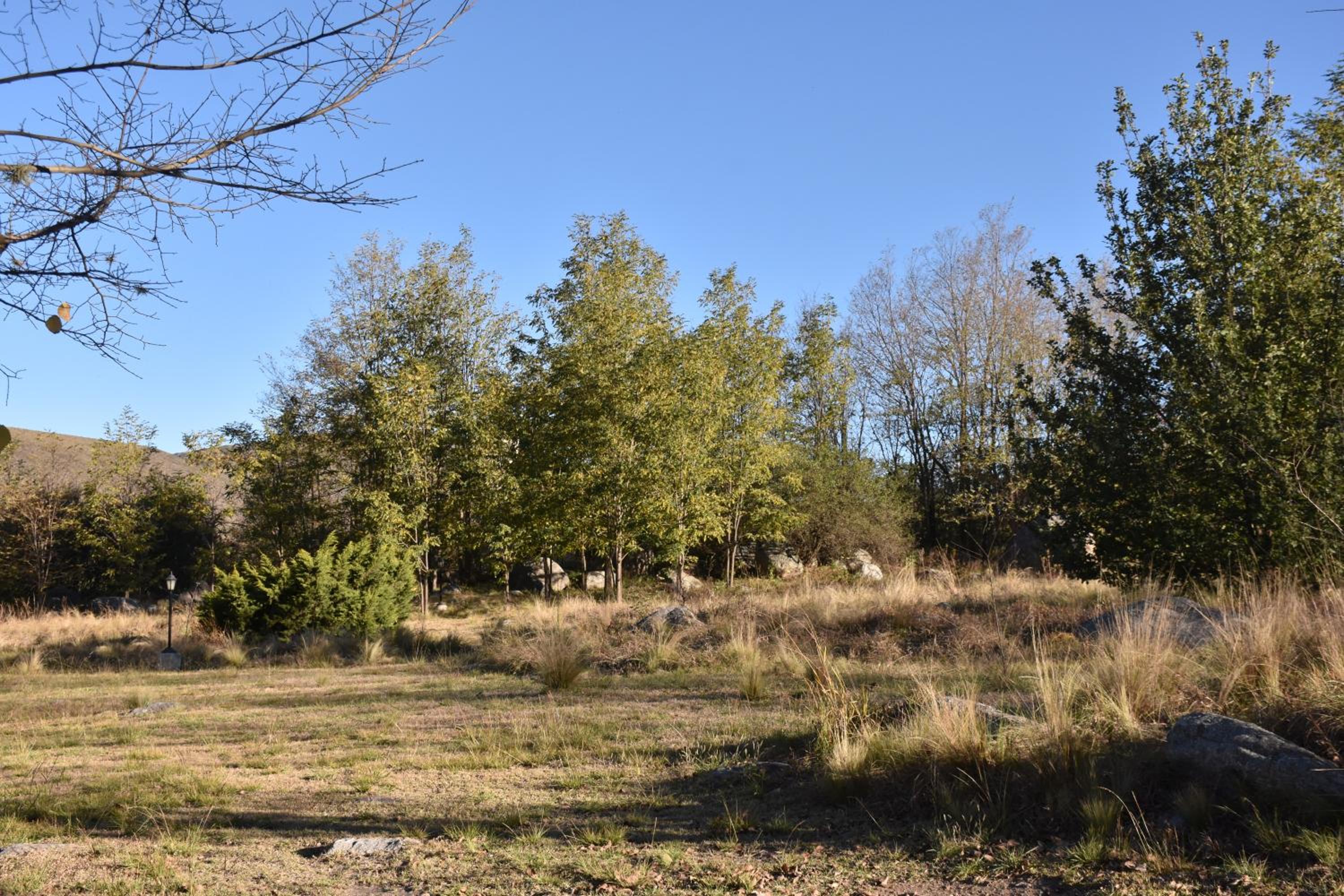 Cabañas Río Molle