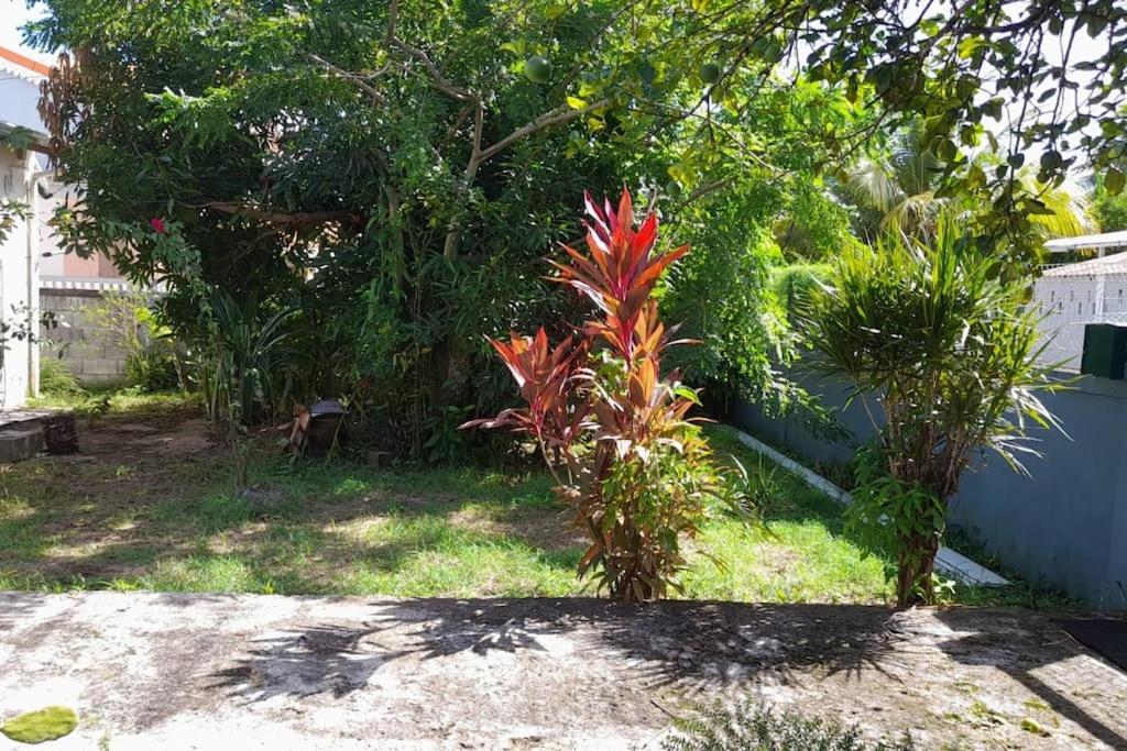Photo 26