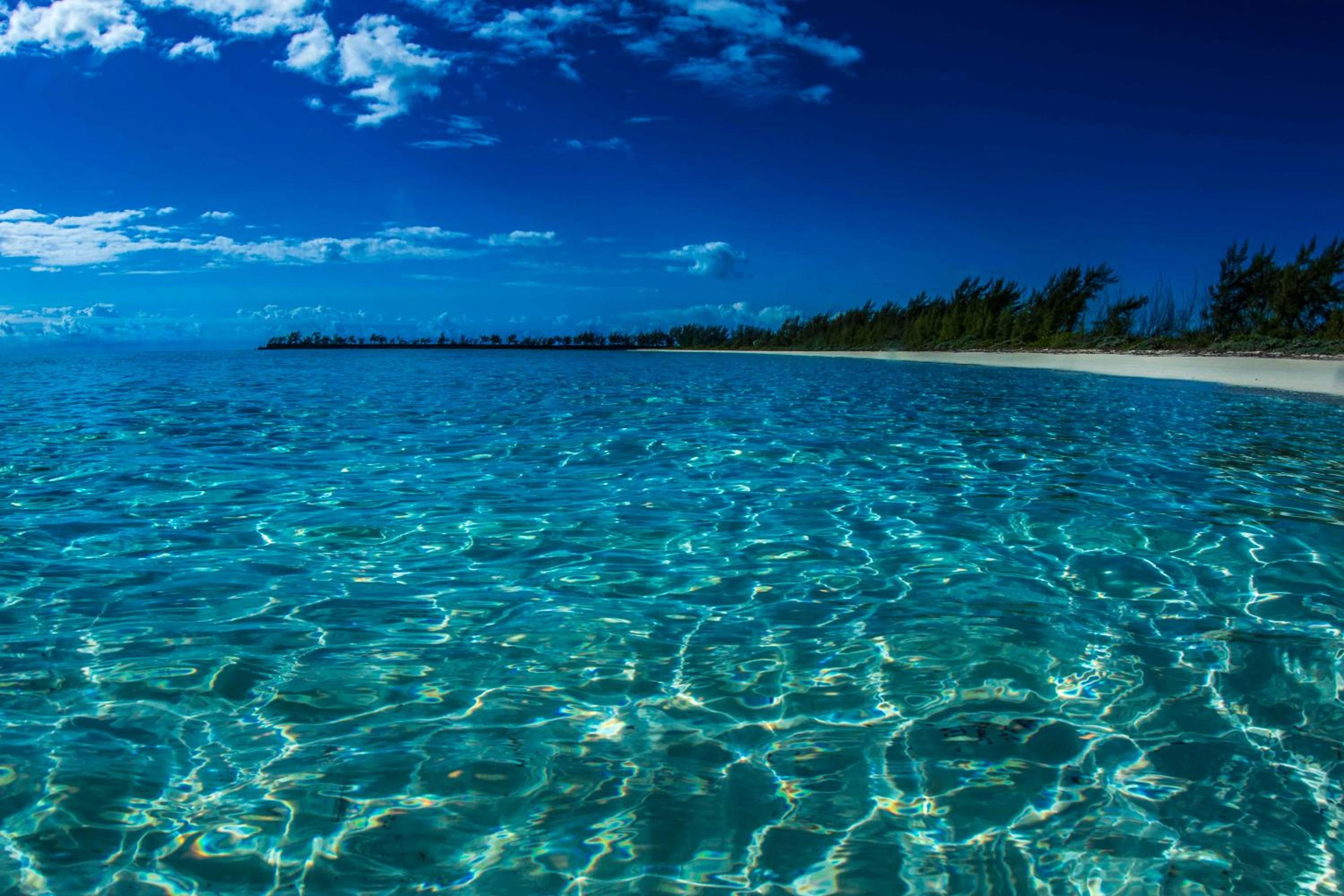 Andros Beach Club