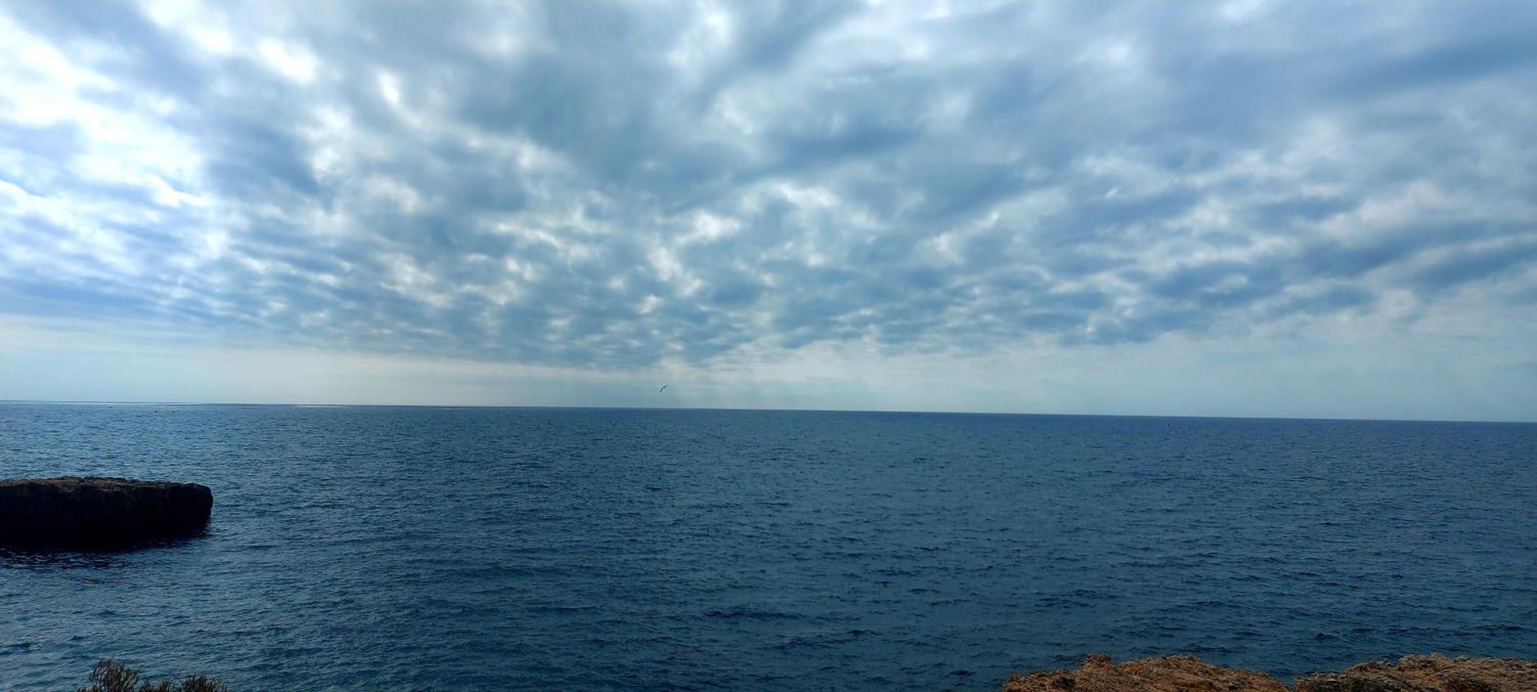 Photo 104