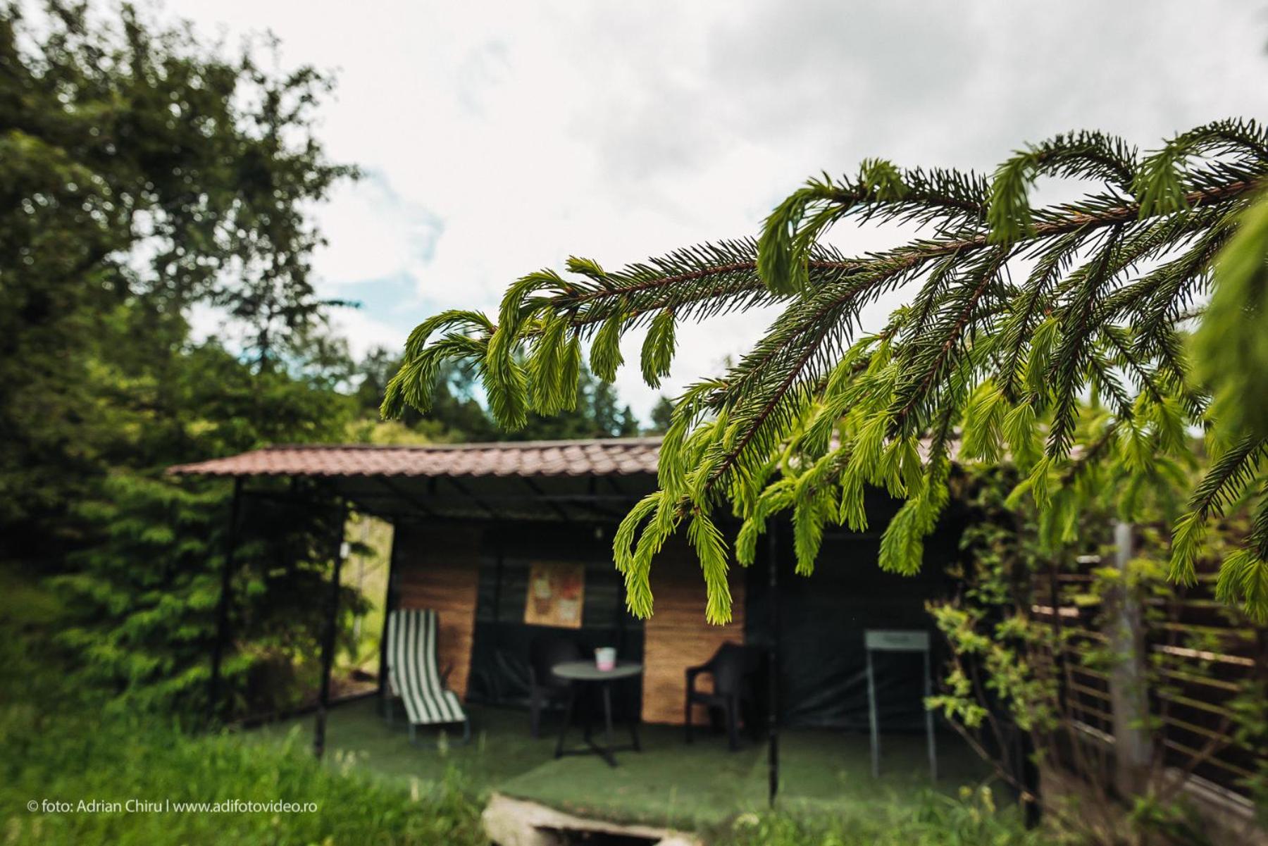 Ethereal Chalet
