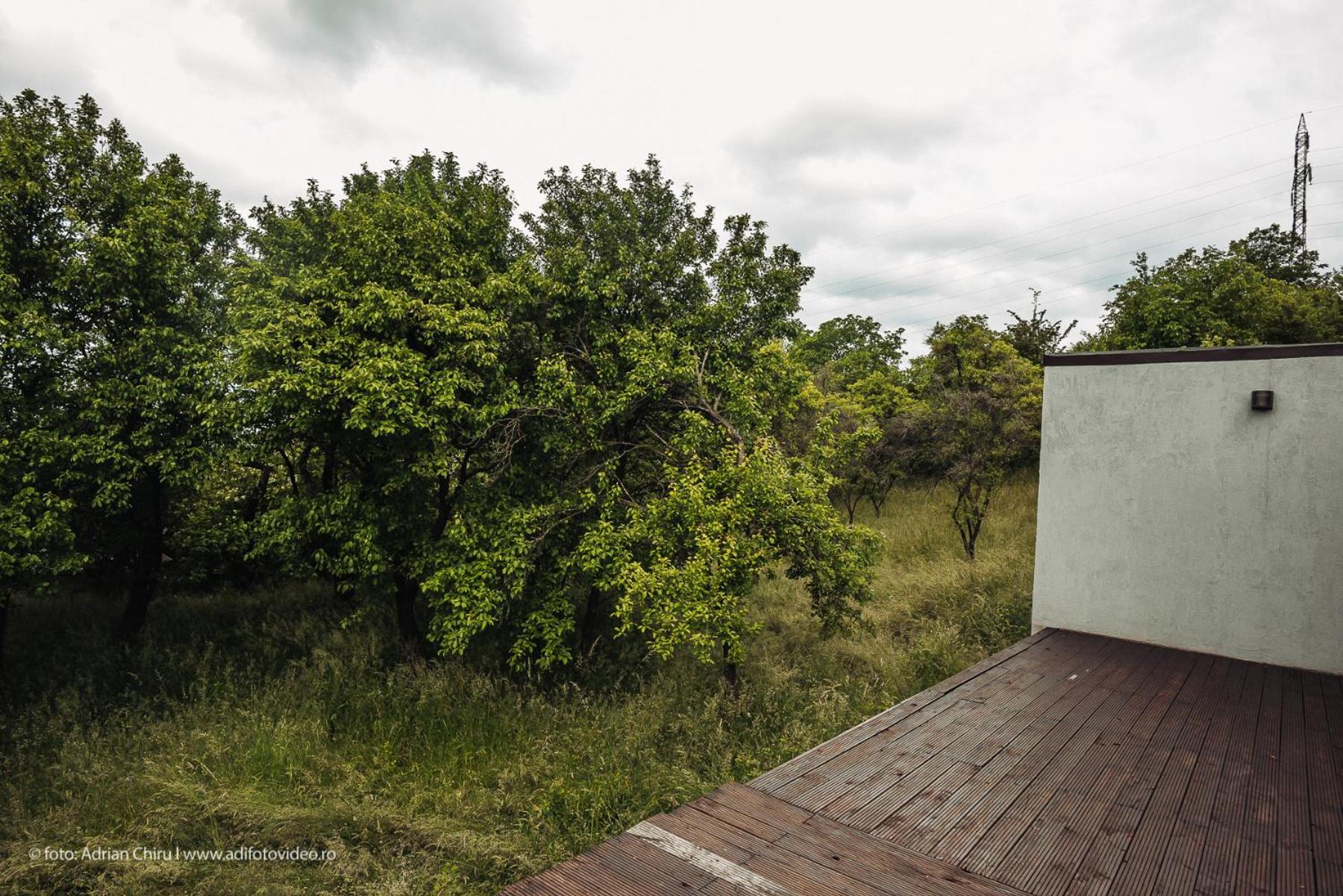Ethereal Chalet