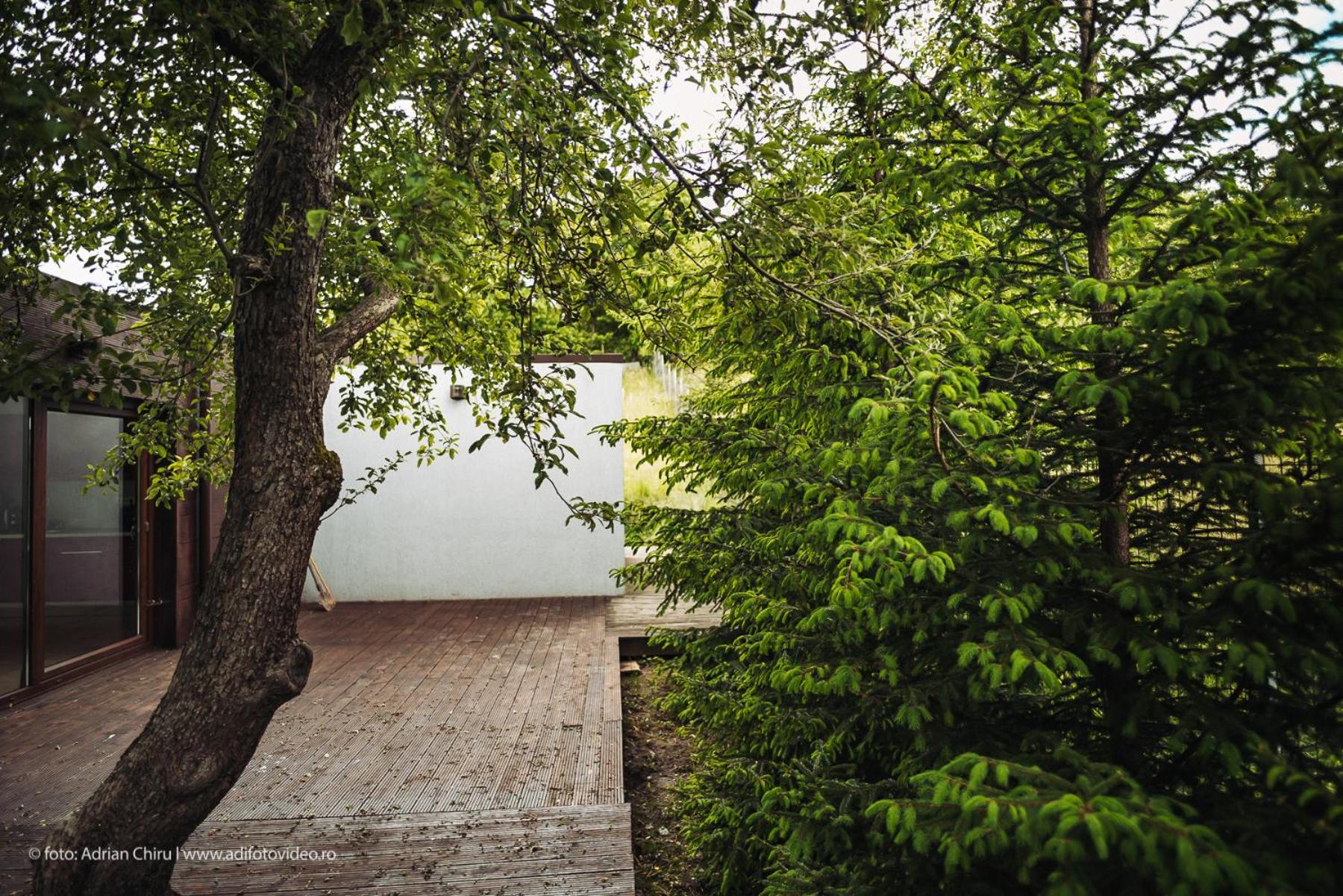 Ethereal Chalet