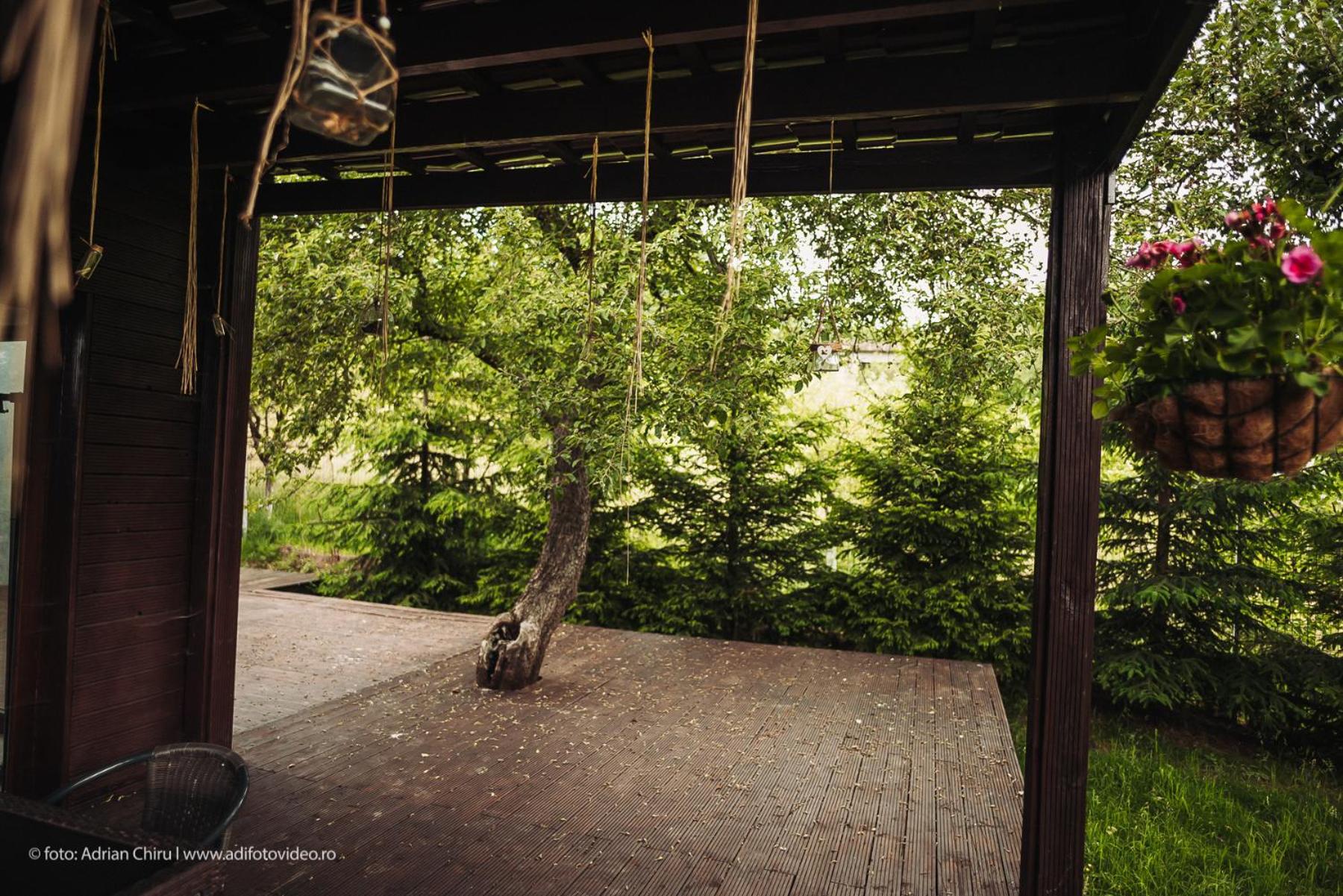 Ethereal Chalet