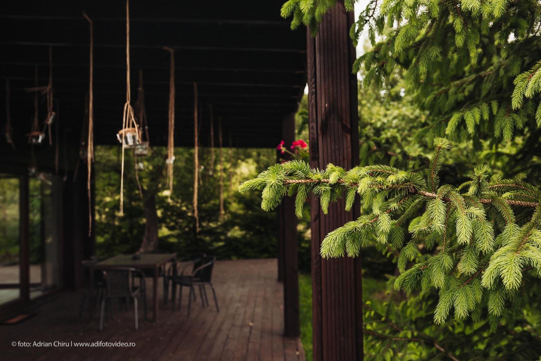 Ethereal Chalet