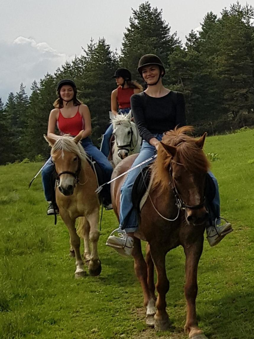 Dona Guest House - Horse Riding