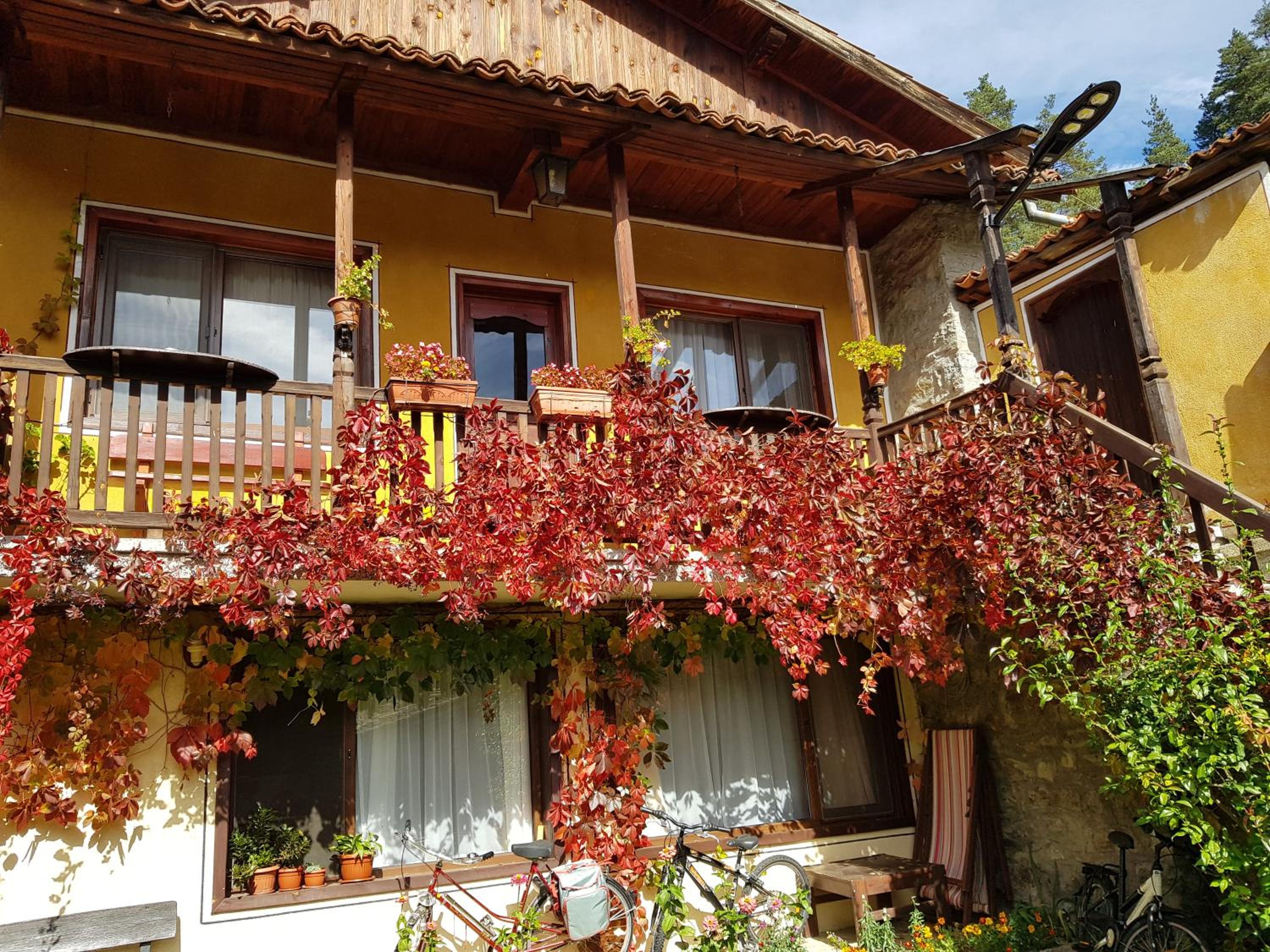 Dona Guest House - Horse Riding