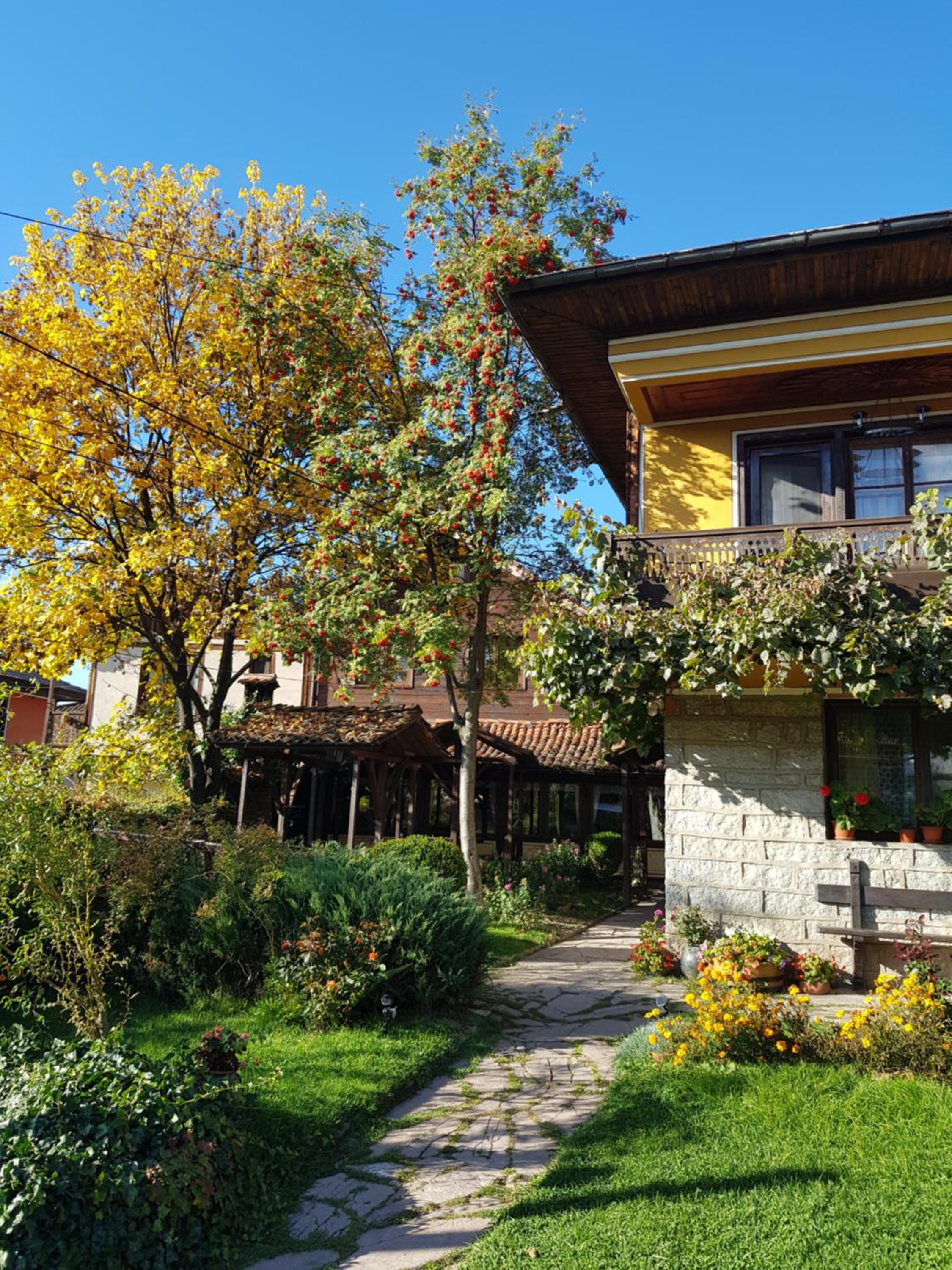 Dona Guest House - Horse Riding