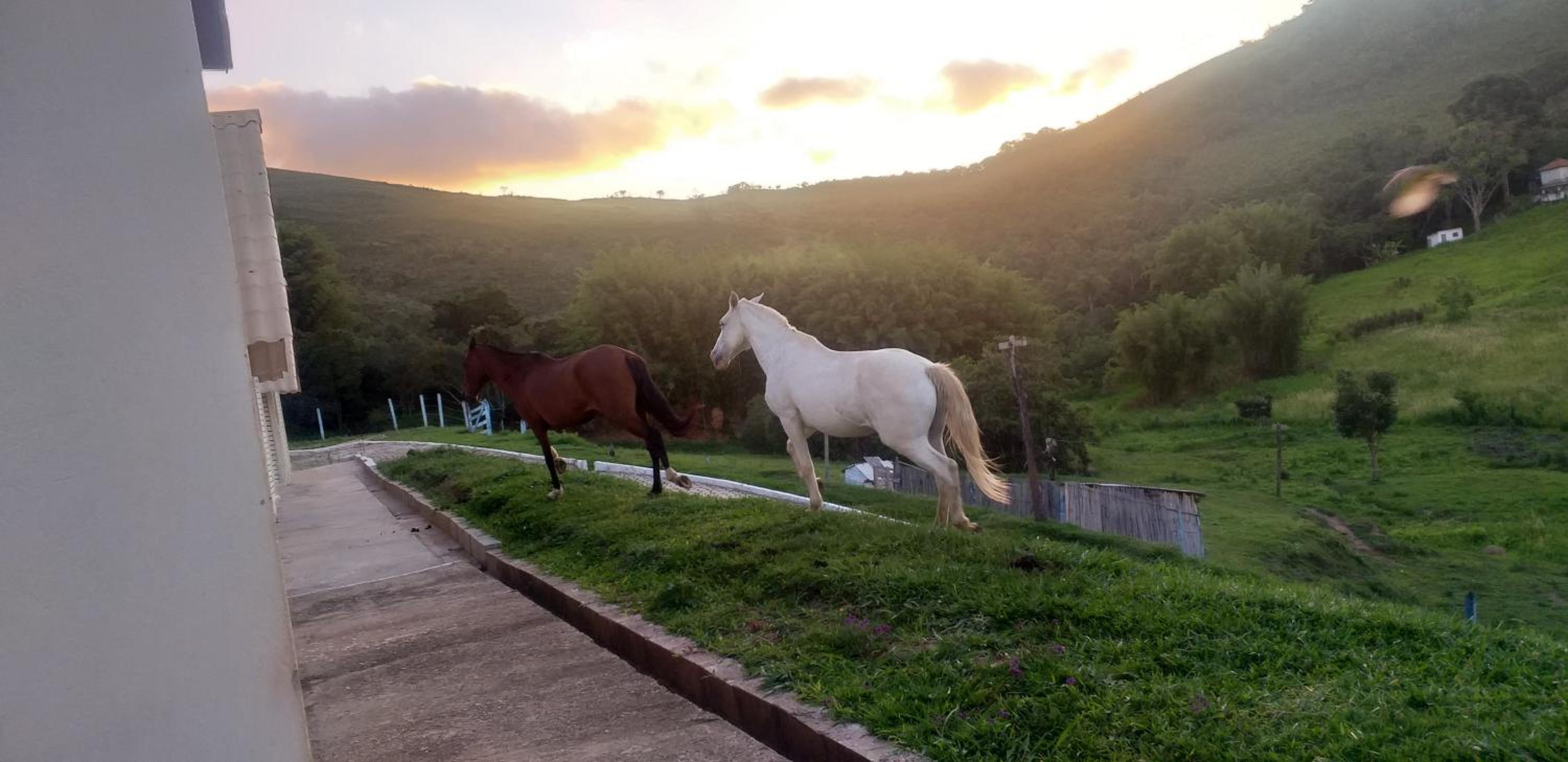 Pousada Recanto Feliz Carvalhos mg