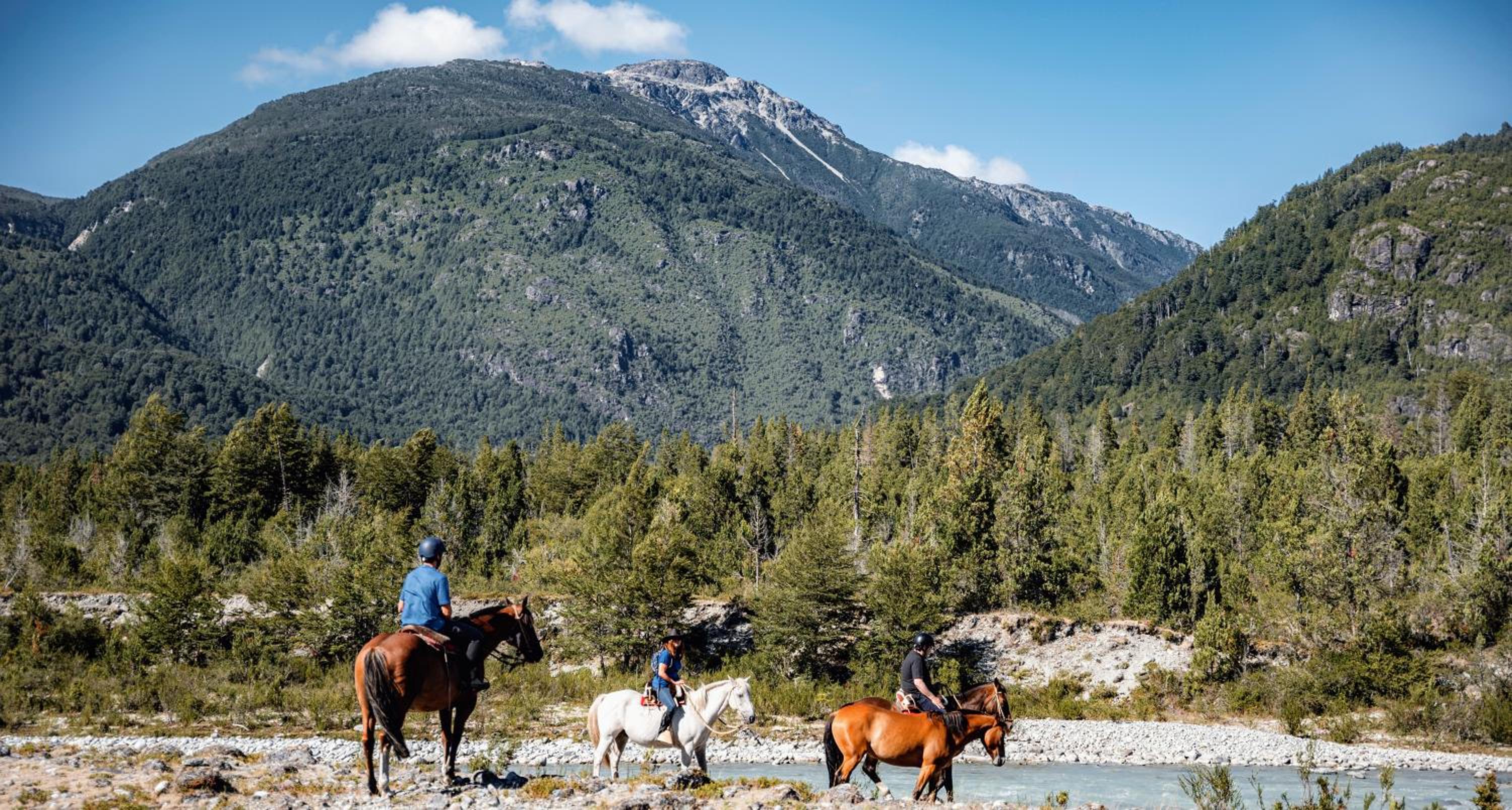 Patagonia East River