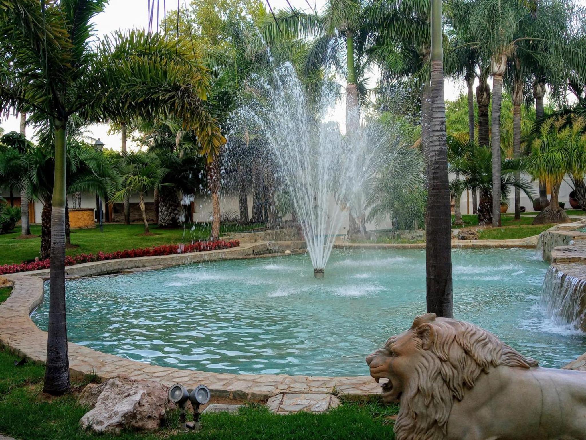 Photo 49