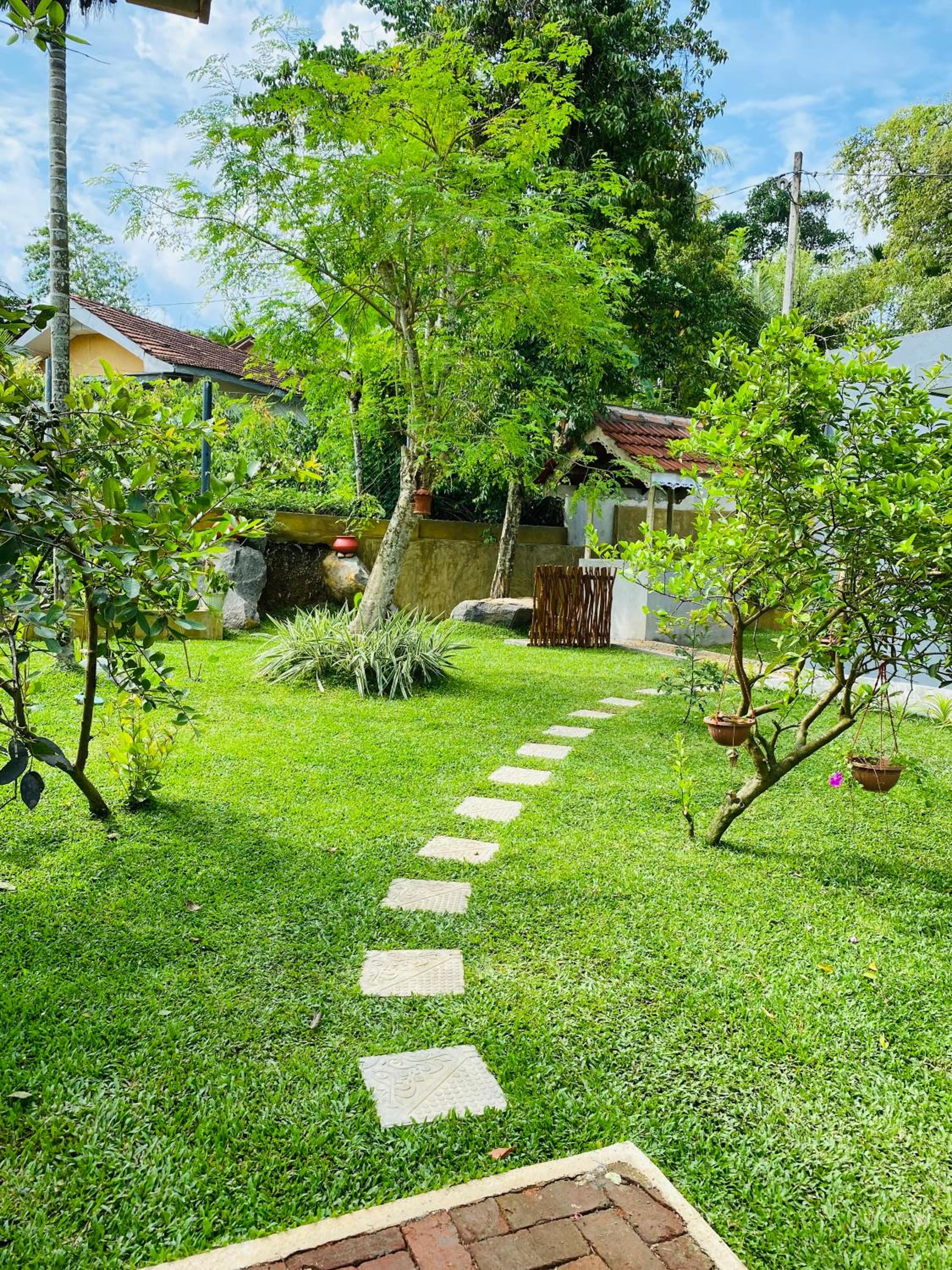 Photo 17