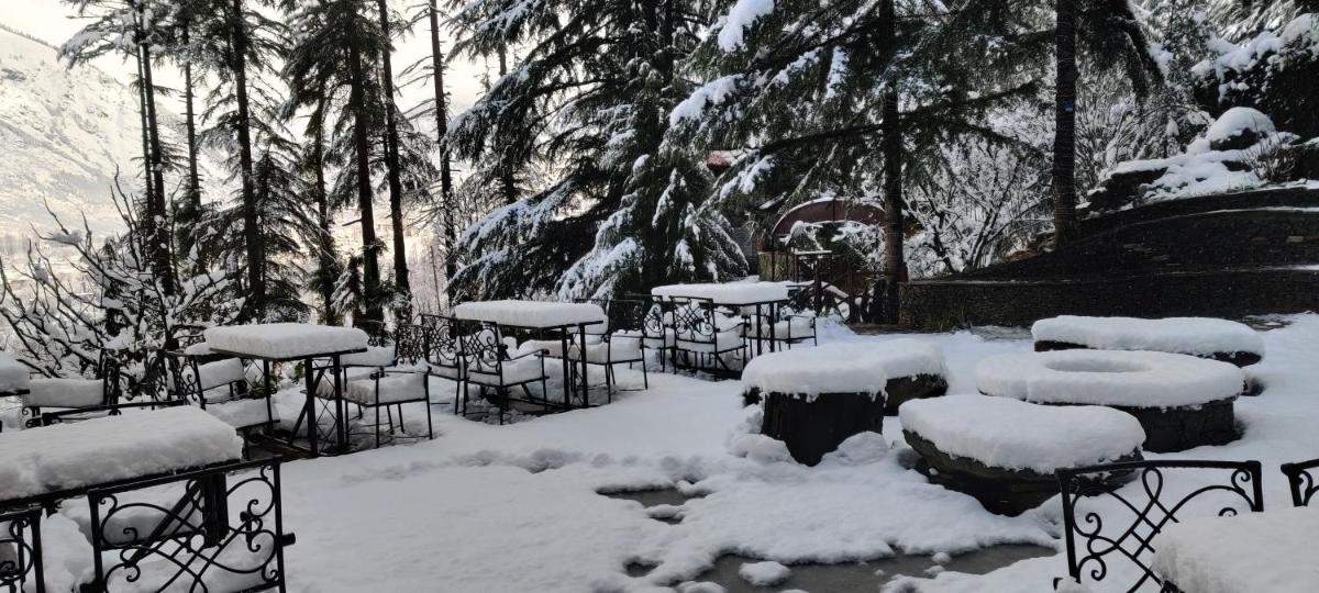 outdoor BBQ area