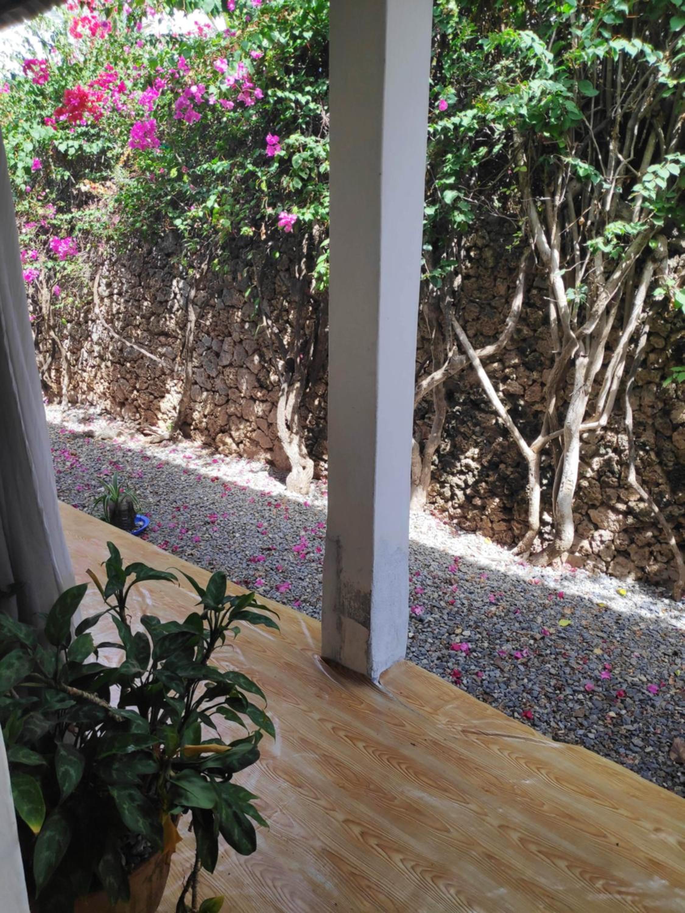 Sunny garden rooms Watamu