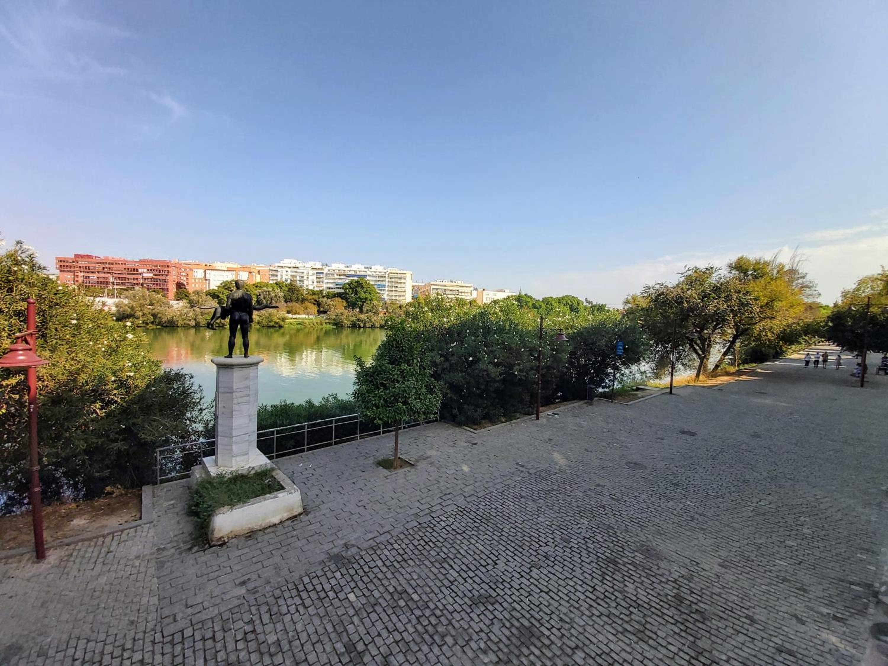 Triana Procurador con Terraza Privada