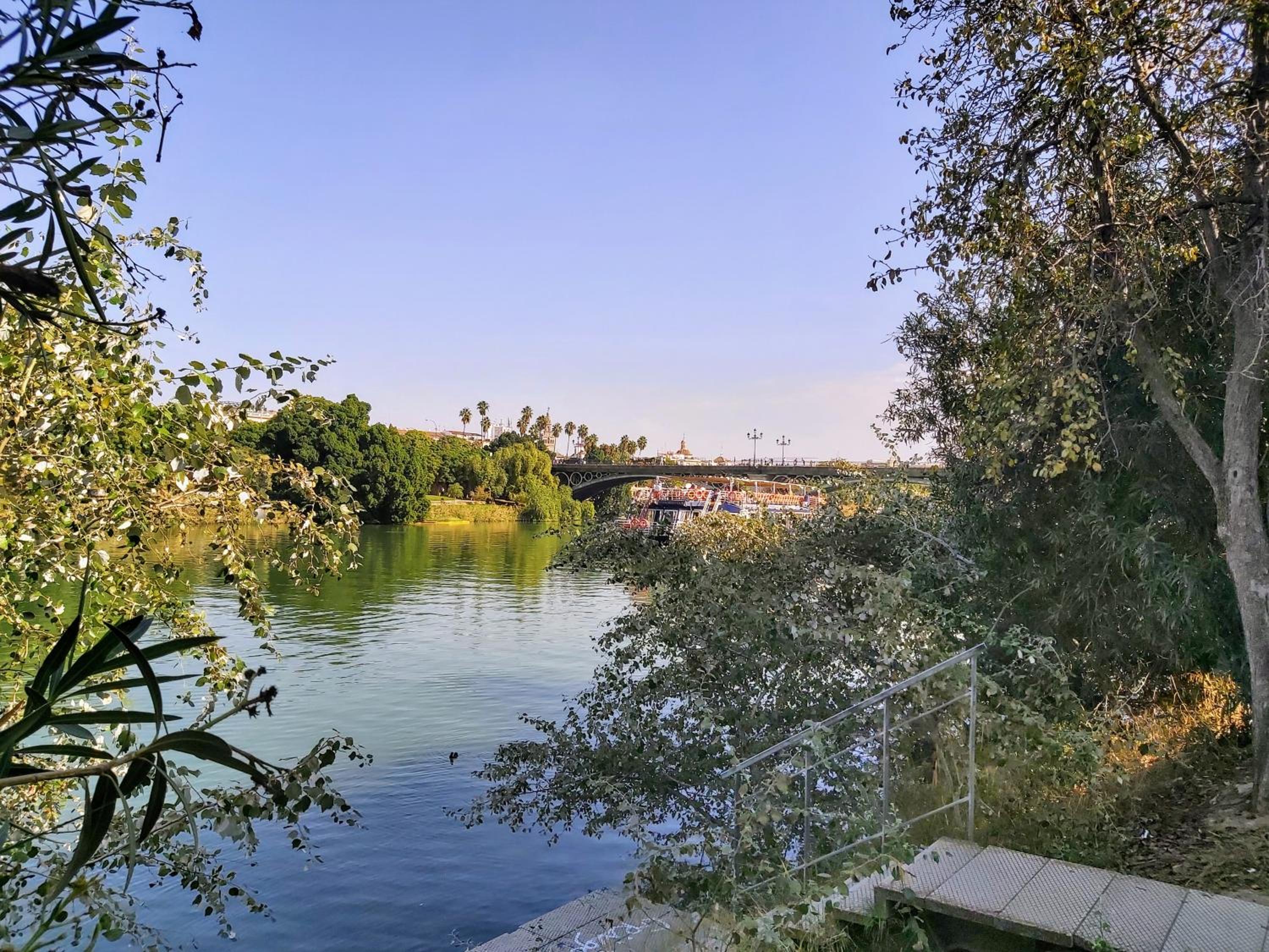 Triana Procurador con Terraza Privada