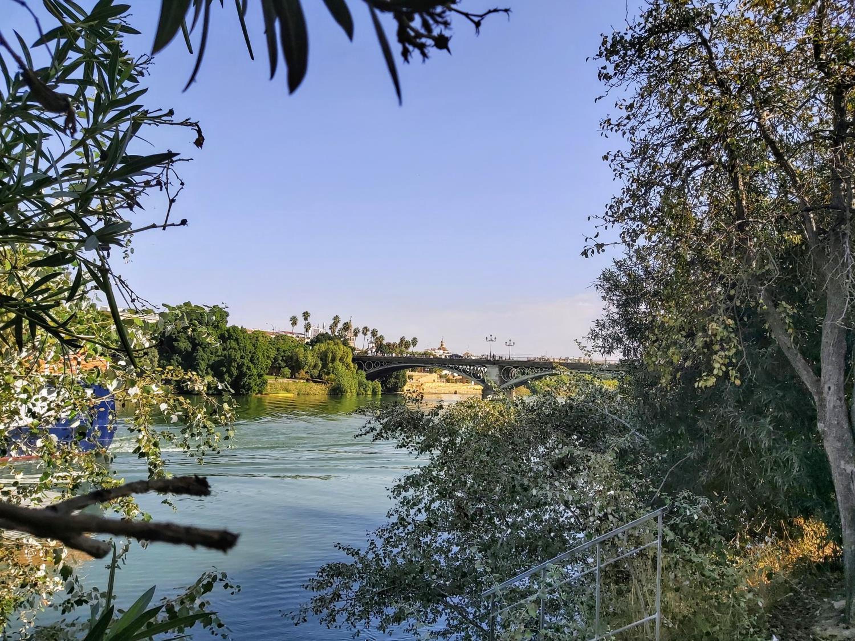 Triana Procurador con Terraza Privada