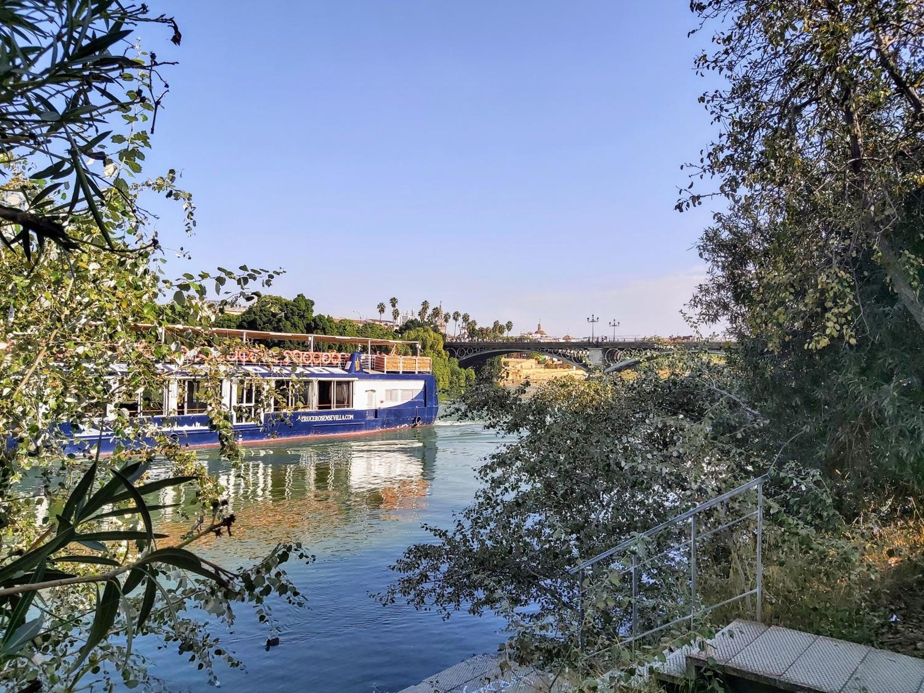 Triana Procurador con Terraza Privada