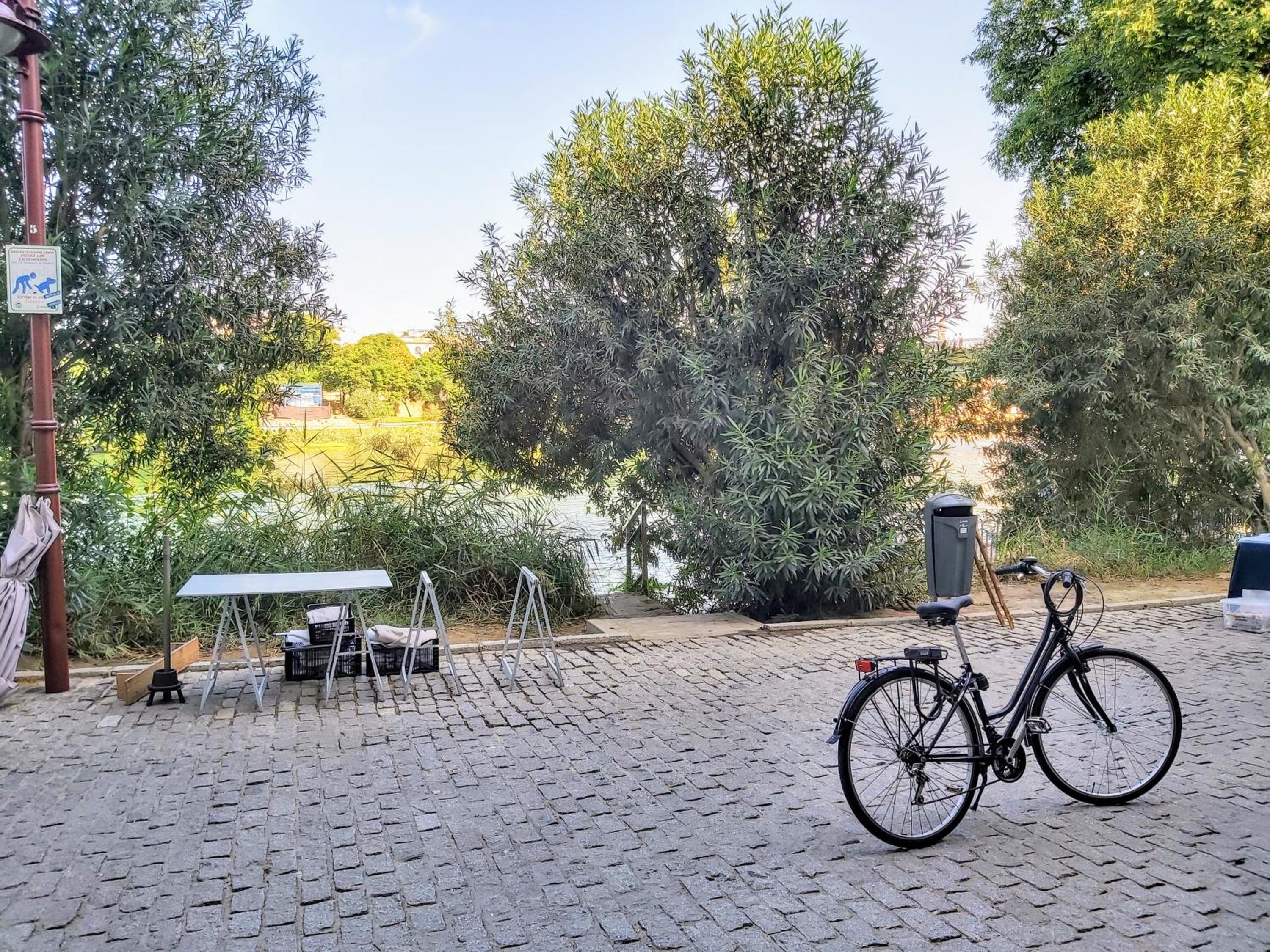 Triana Procurador con Terraza Privada