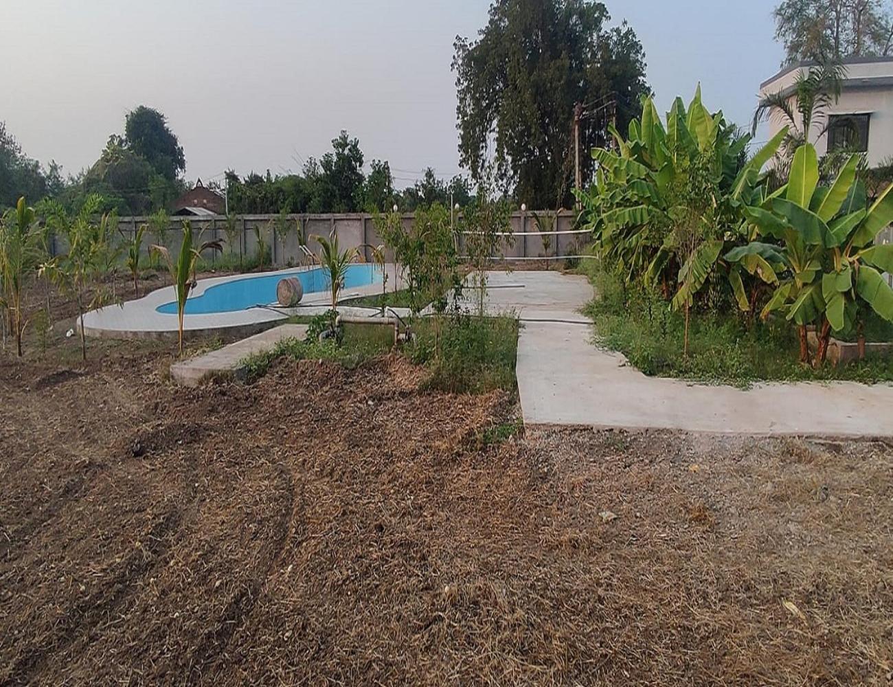 Photo 19