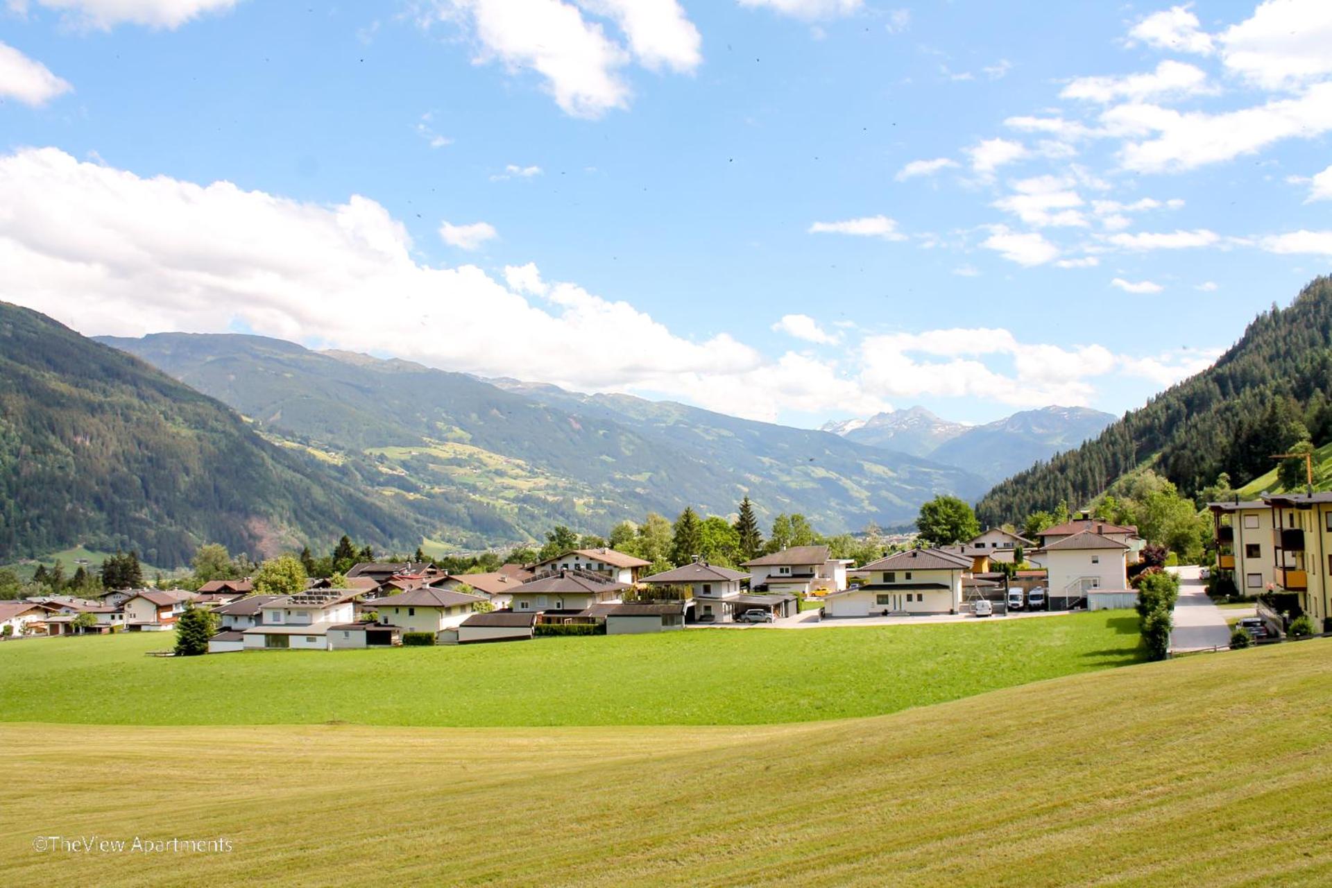 TheView Green