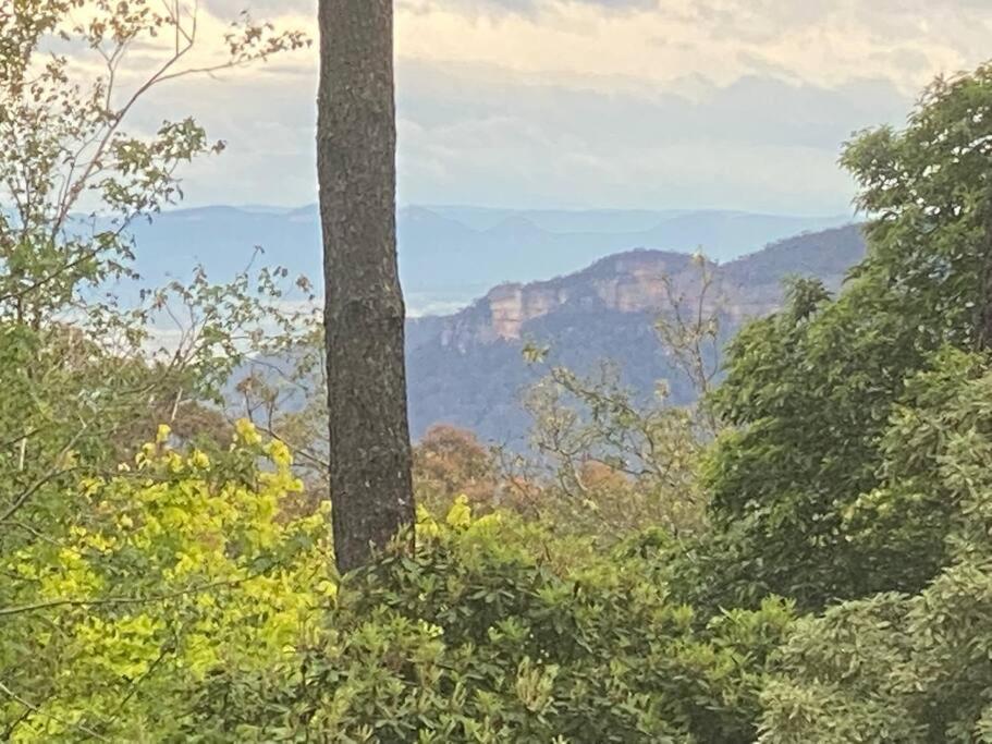 Carramar Estate: 2 homes stunning mountain views