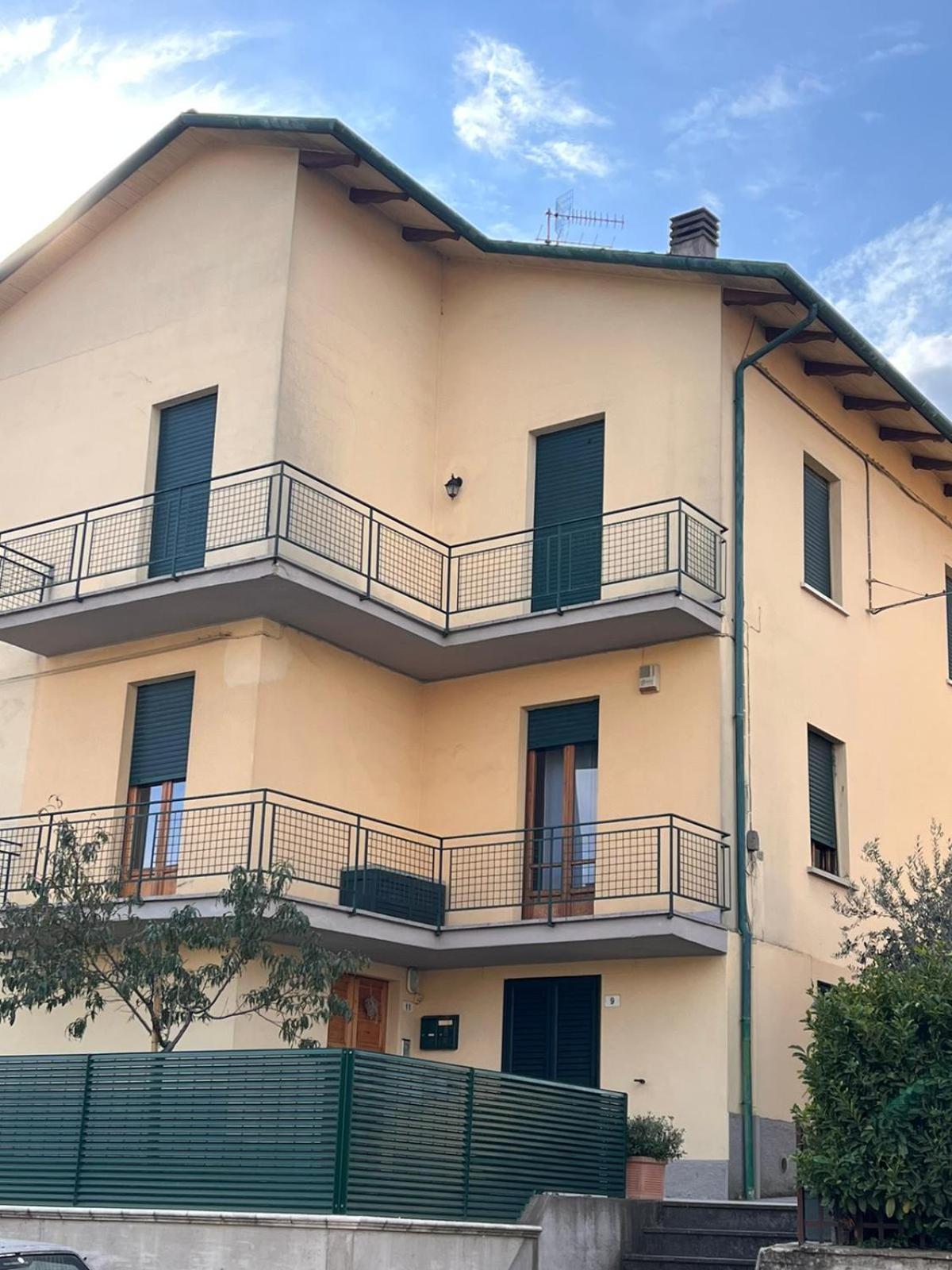 B&B Camelia