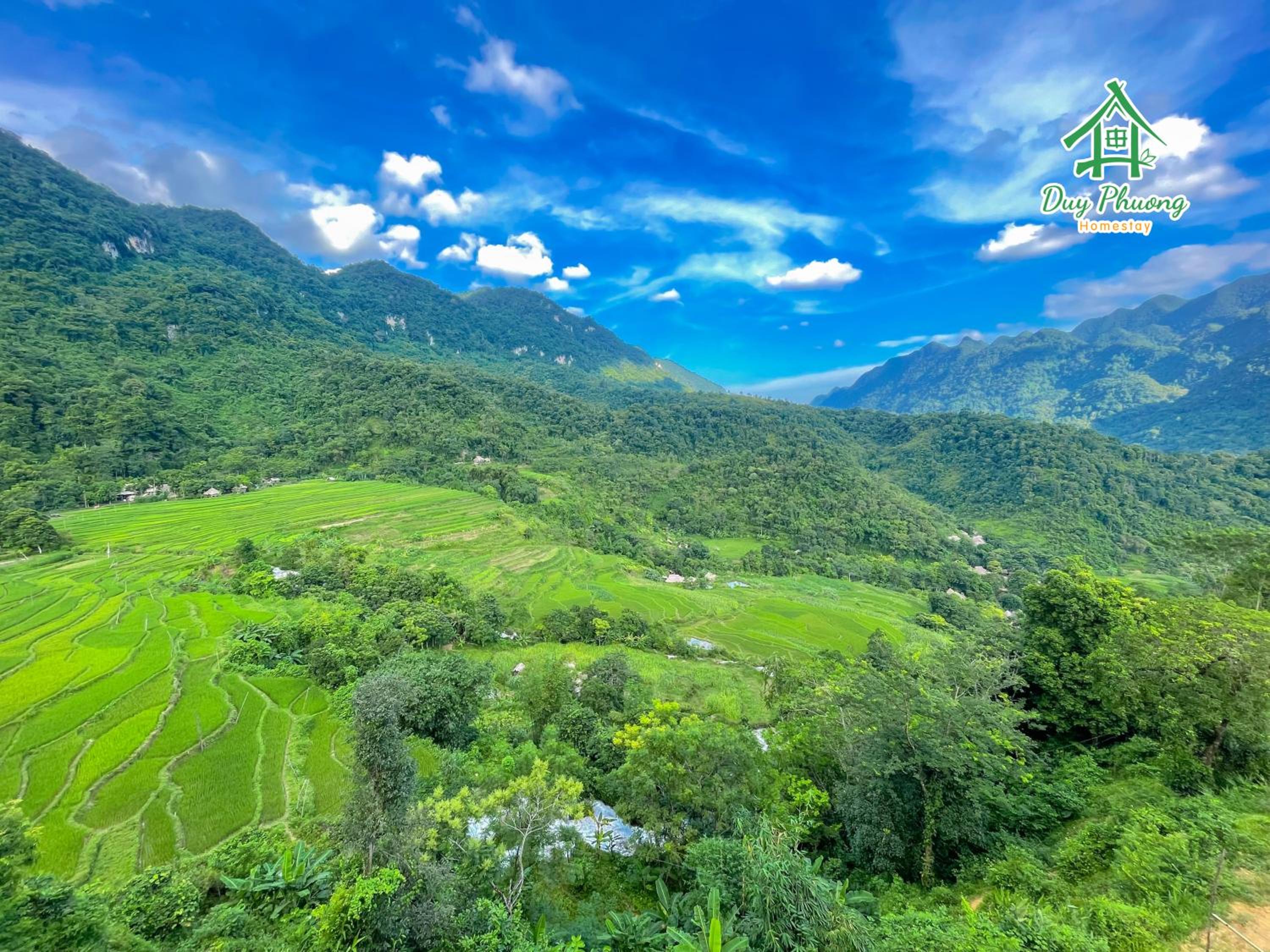 Pu Luong - Duy Phuong Homestay
