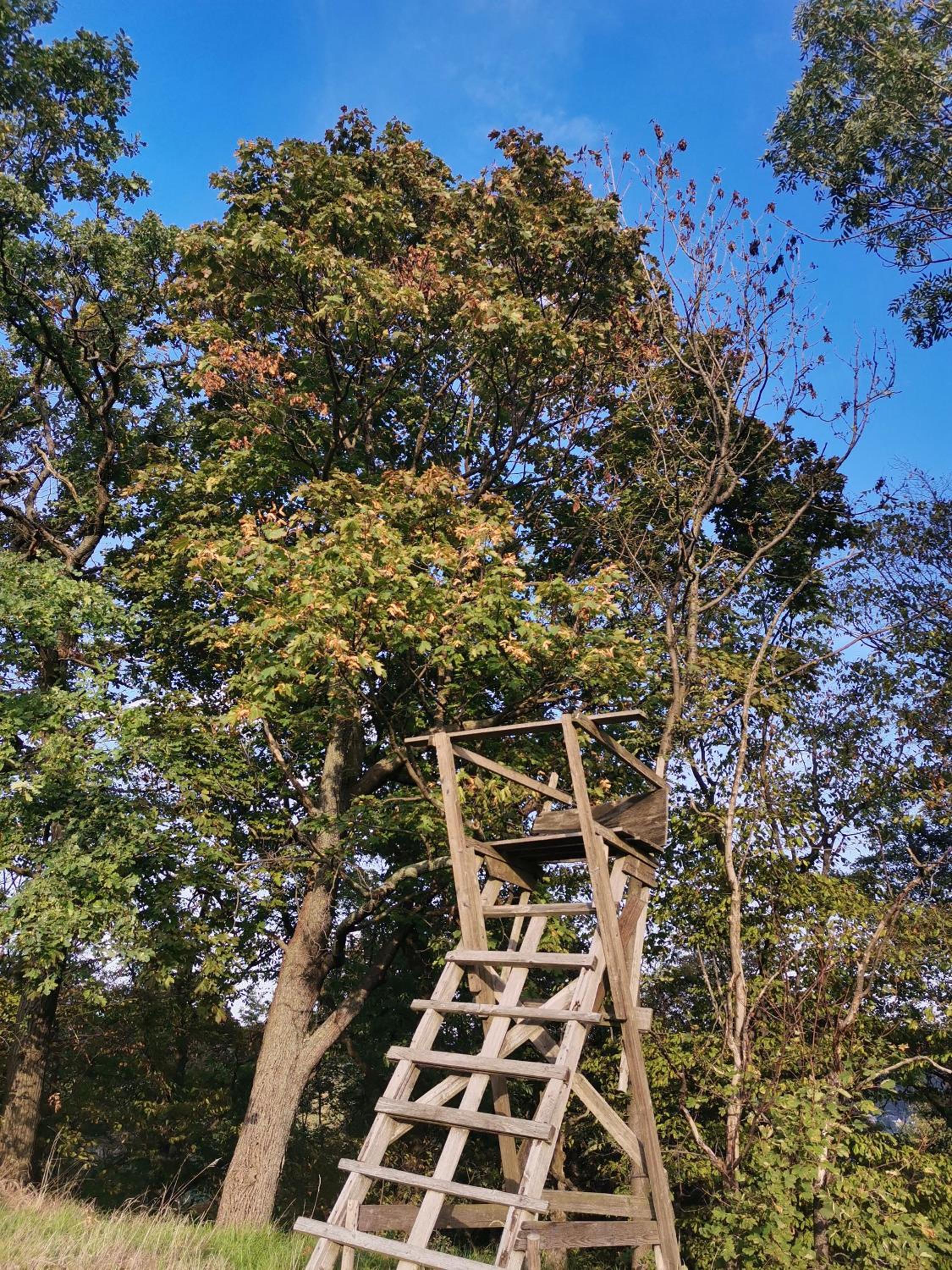 Auszeit