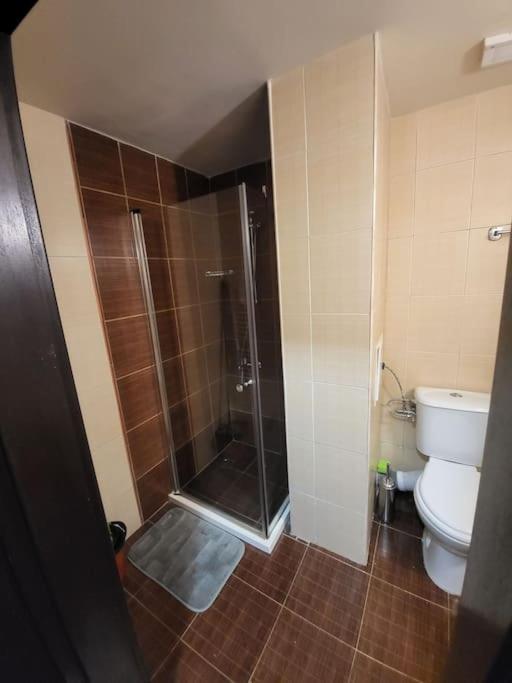 Bansko Royal Towers 253