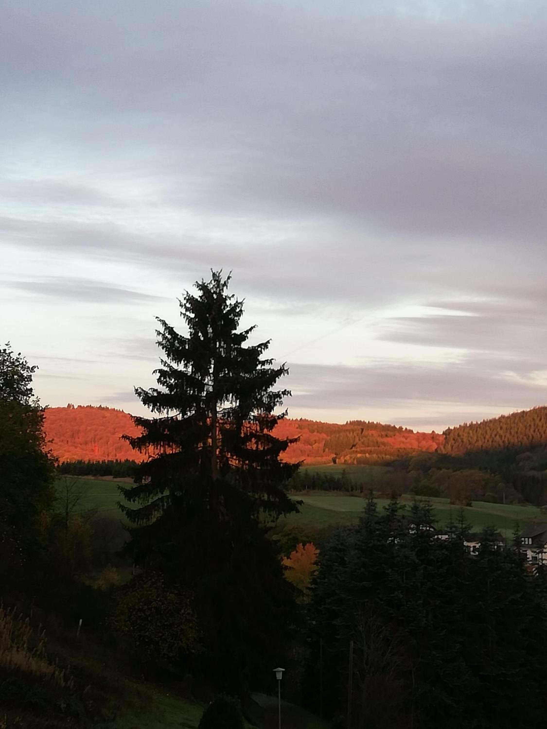 Ferienwohnung-in-schoenster-Lage view 4