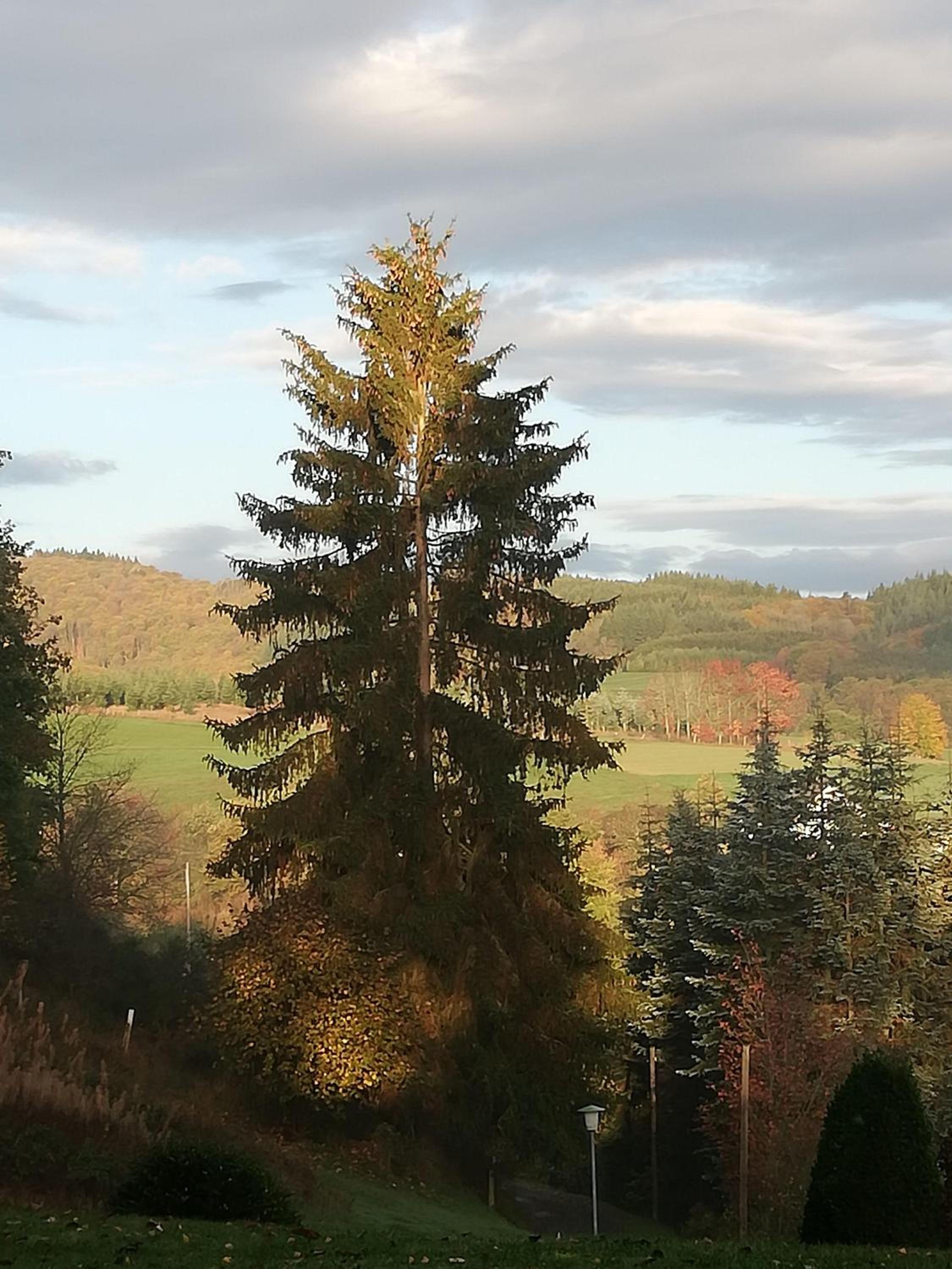 Ferienwohnung-in-schoenster-Lage view 5