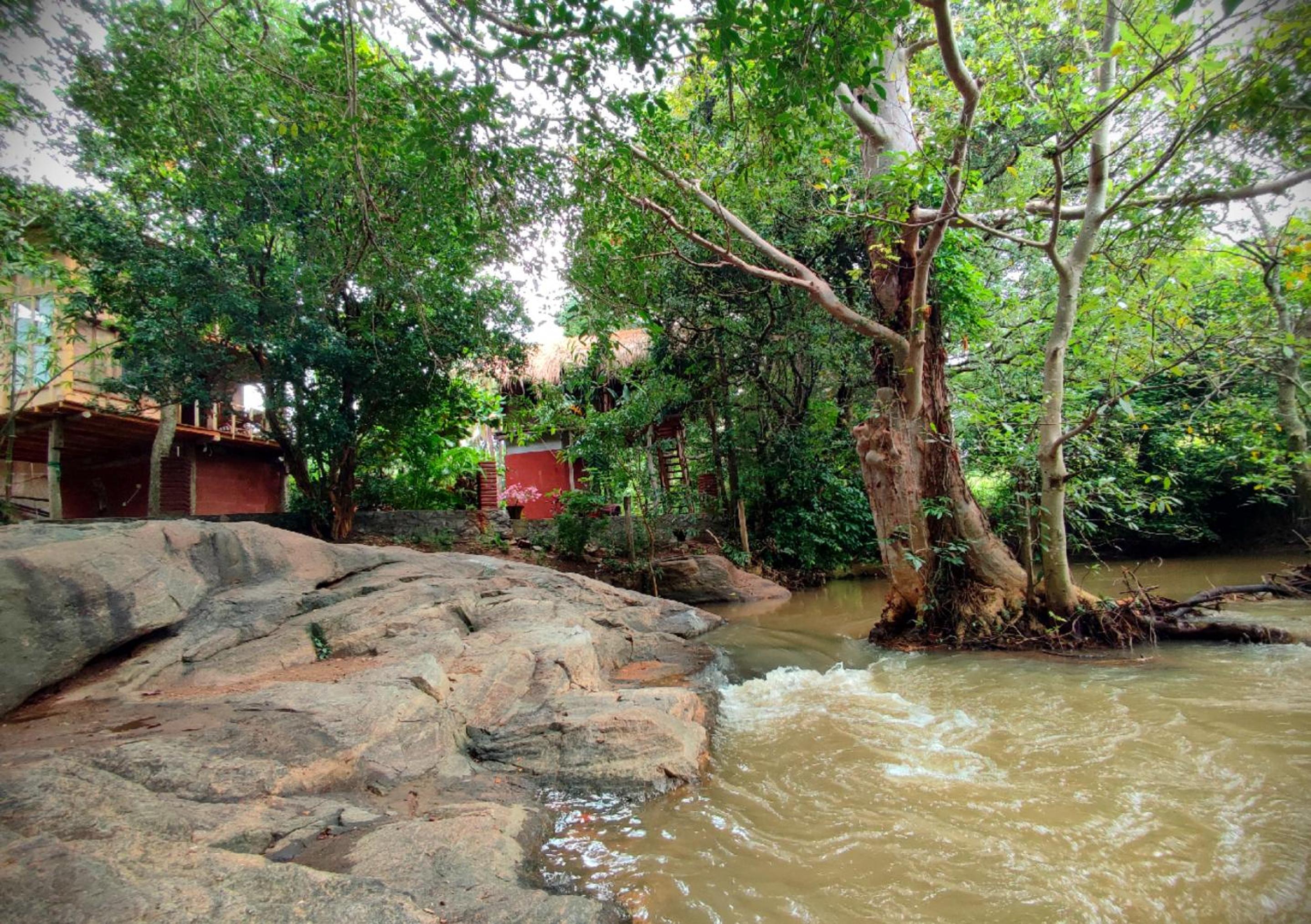 Sigiriya River Side Villa view 3