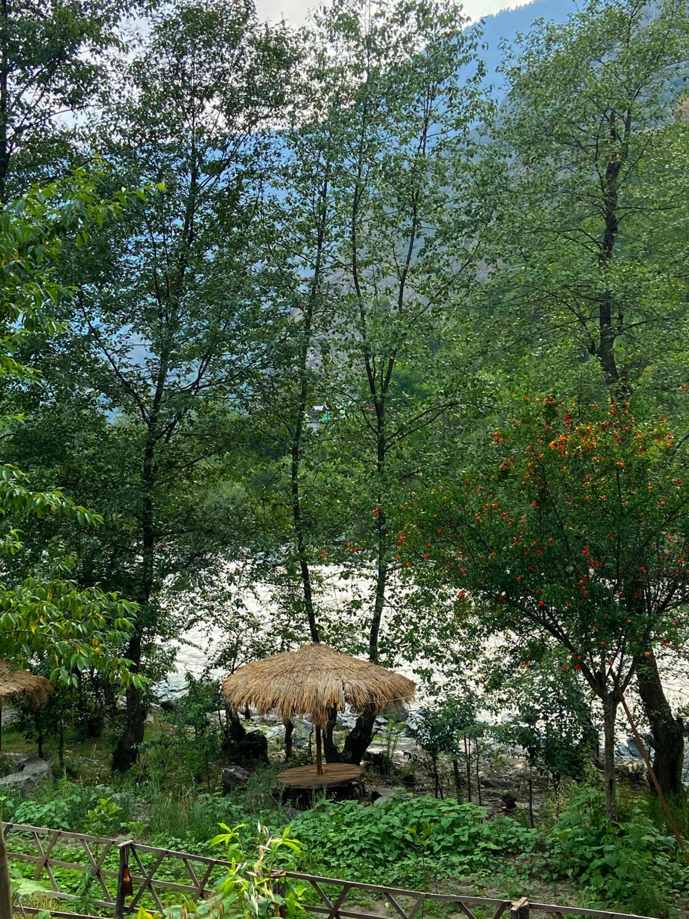 Photo 17