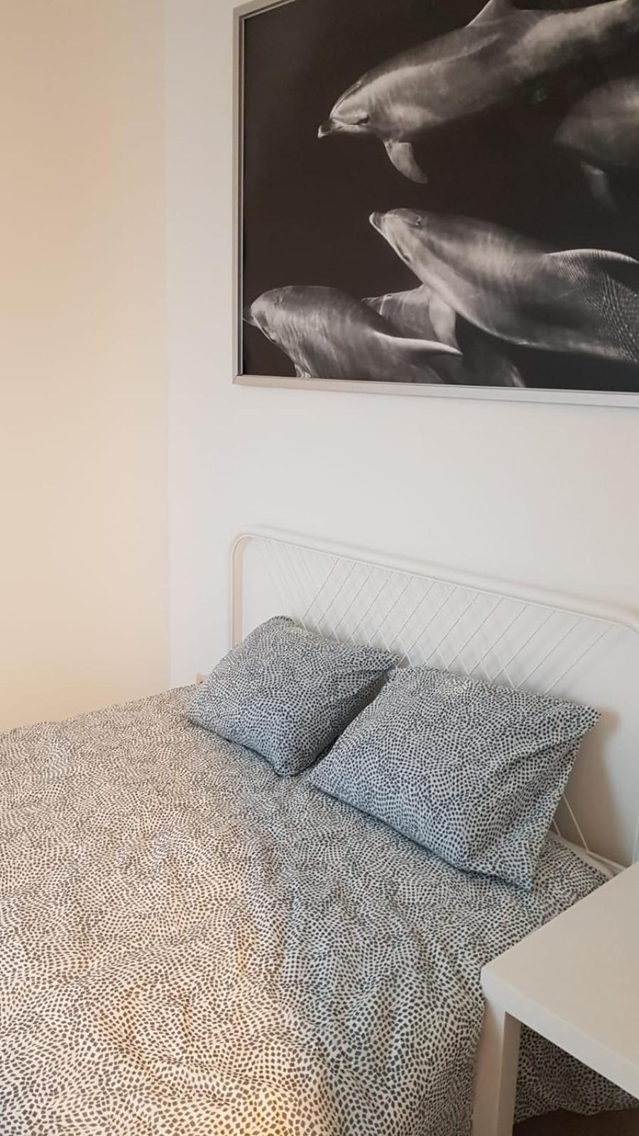B44 appartment