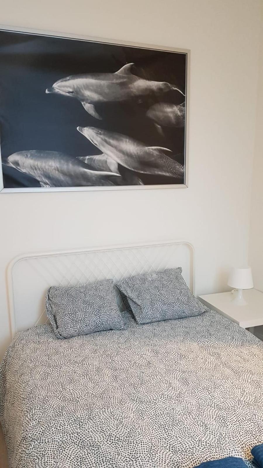 B44 appartment