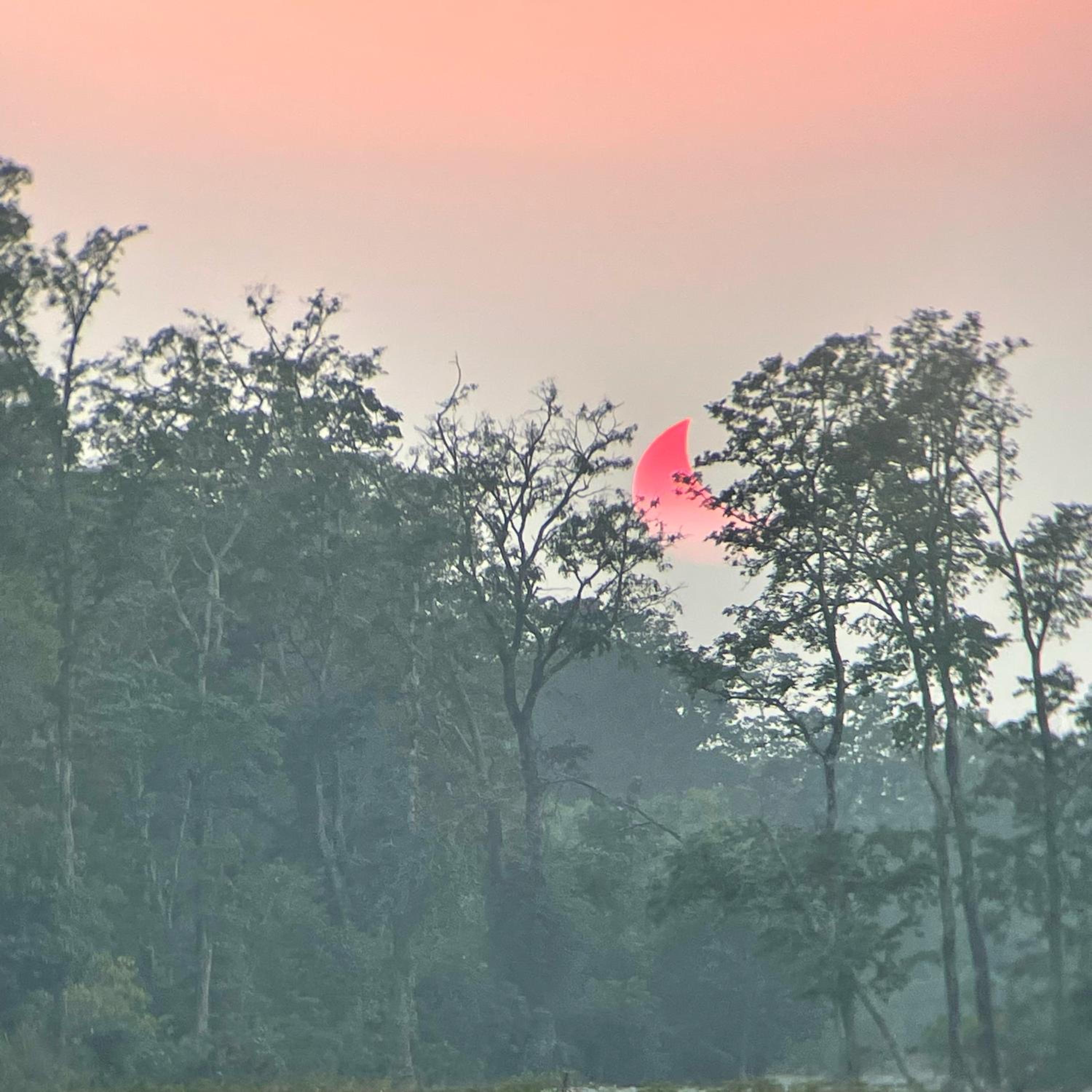 Corbett Nature Retreat view 2