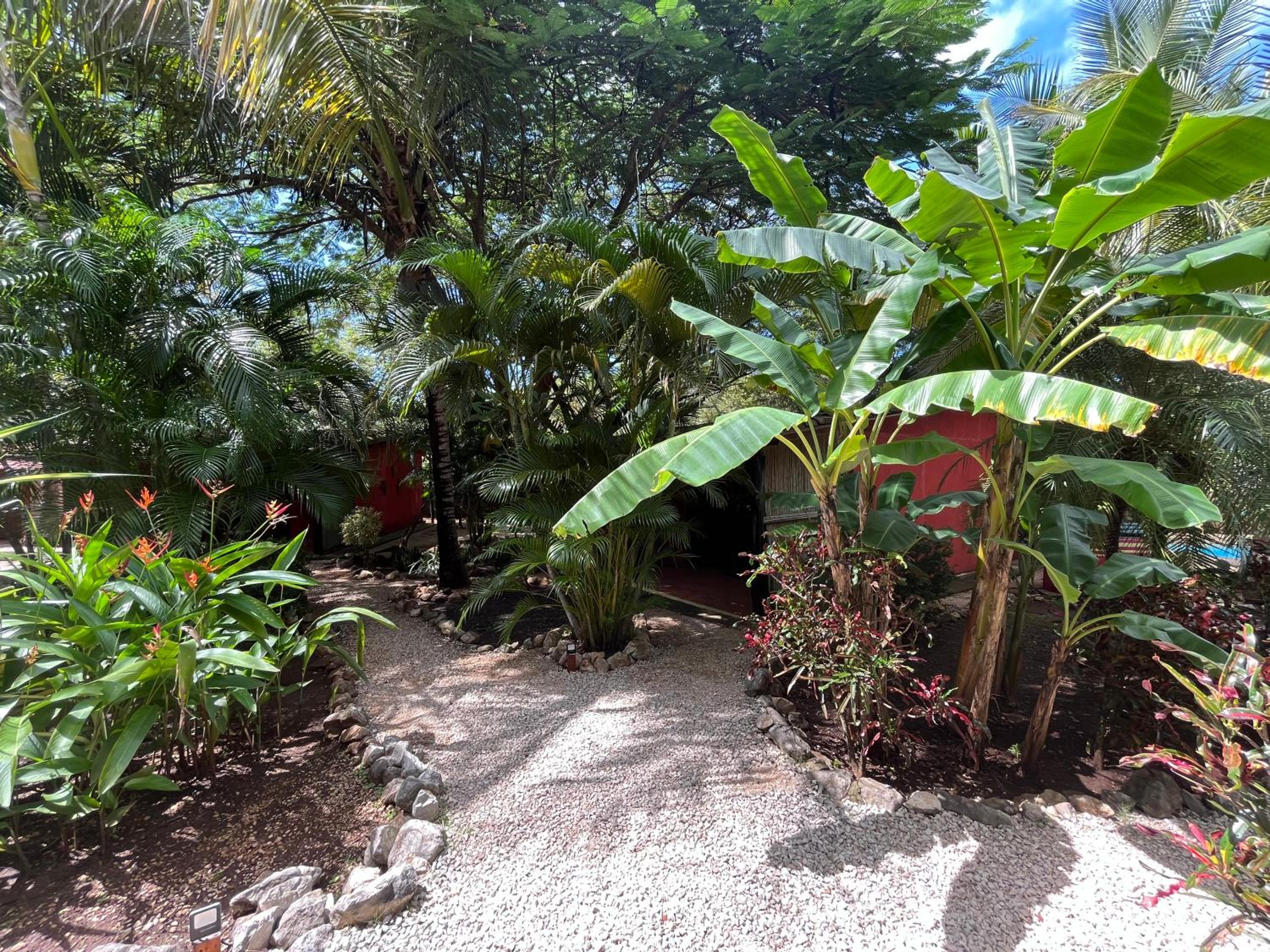 Casa Tropical Playa Grande