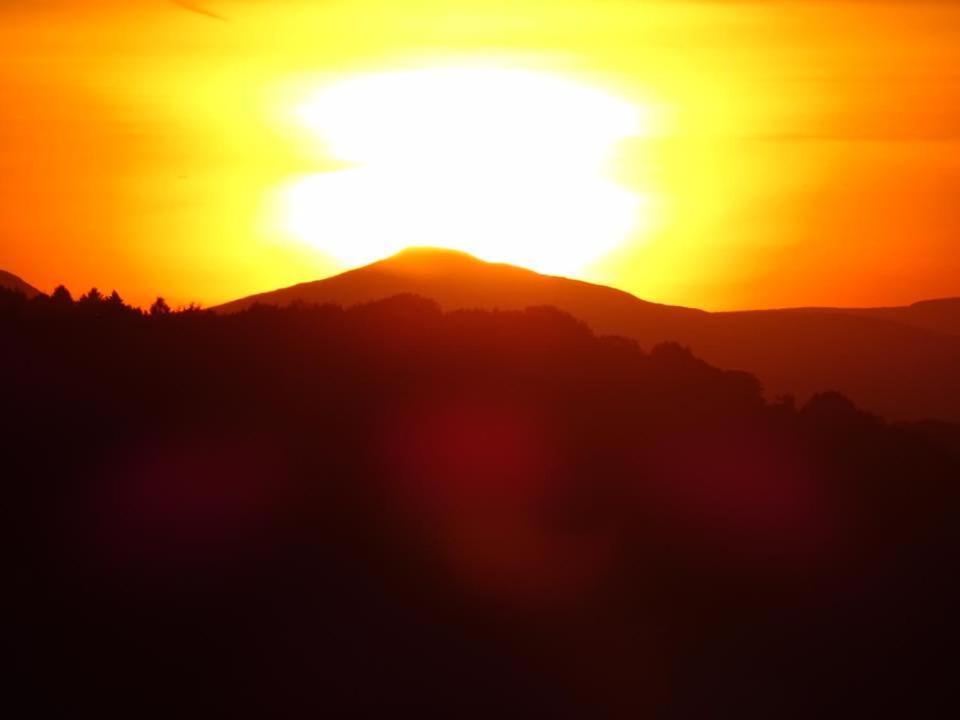 Photo 100
